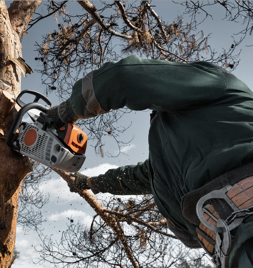 Alex Tree Service gallery 3