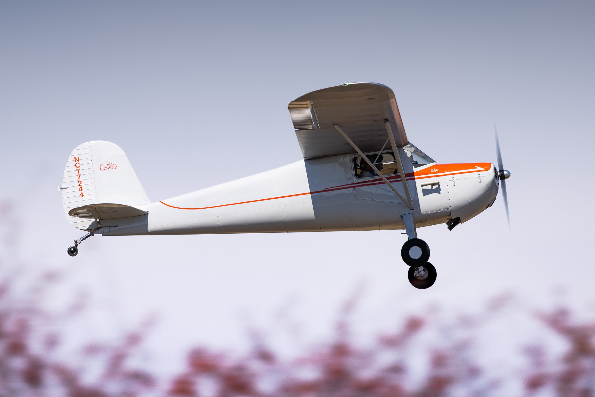 Cessna 120 (N77244) taking off from St. Mary's County Regional Airport (2W6) and staying in the pattern on a nice spring day.