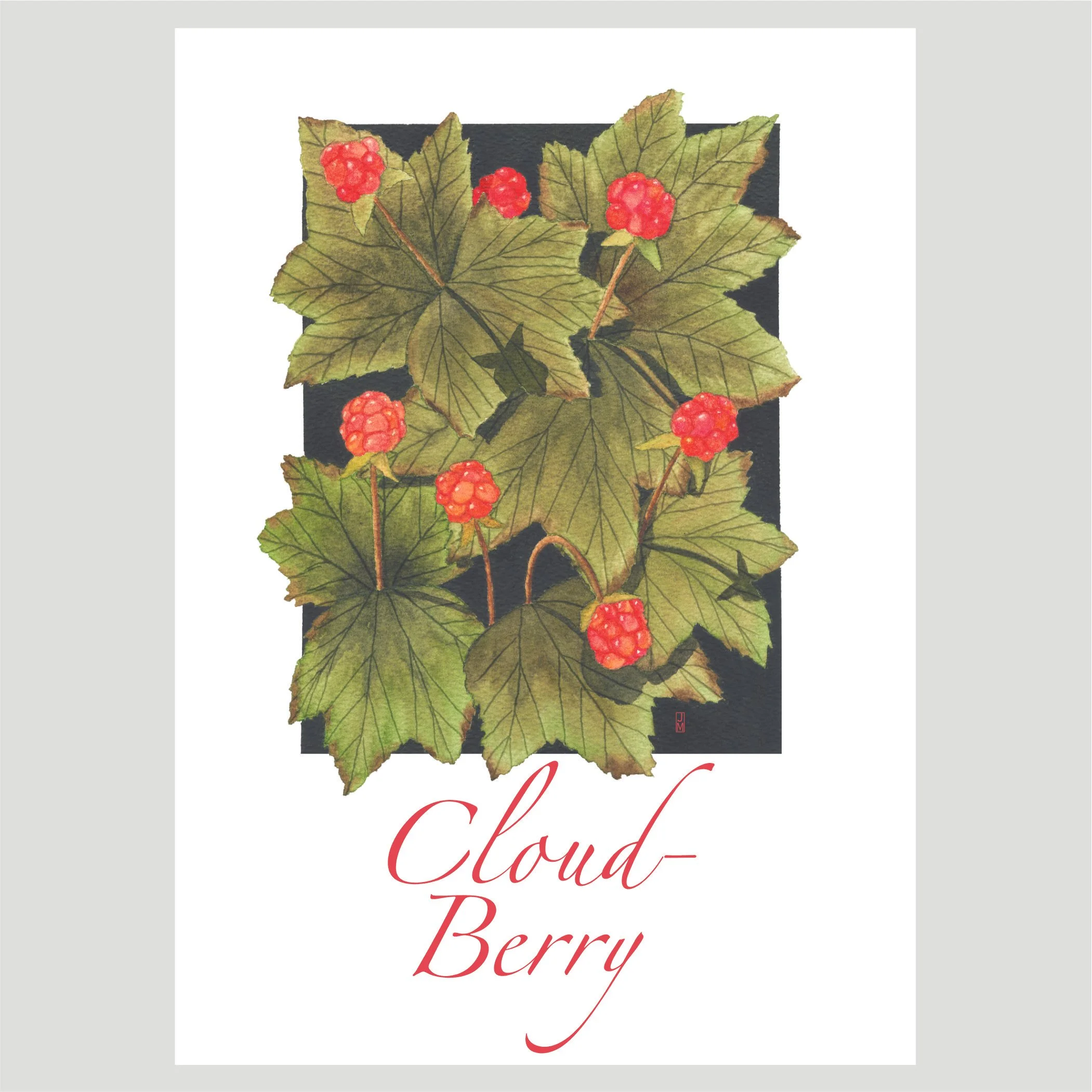 Cloudberry.jpg