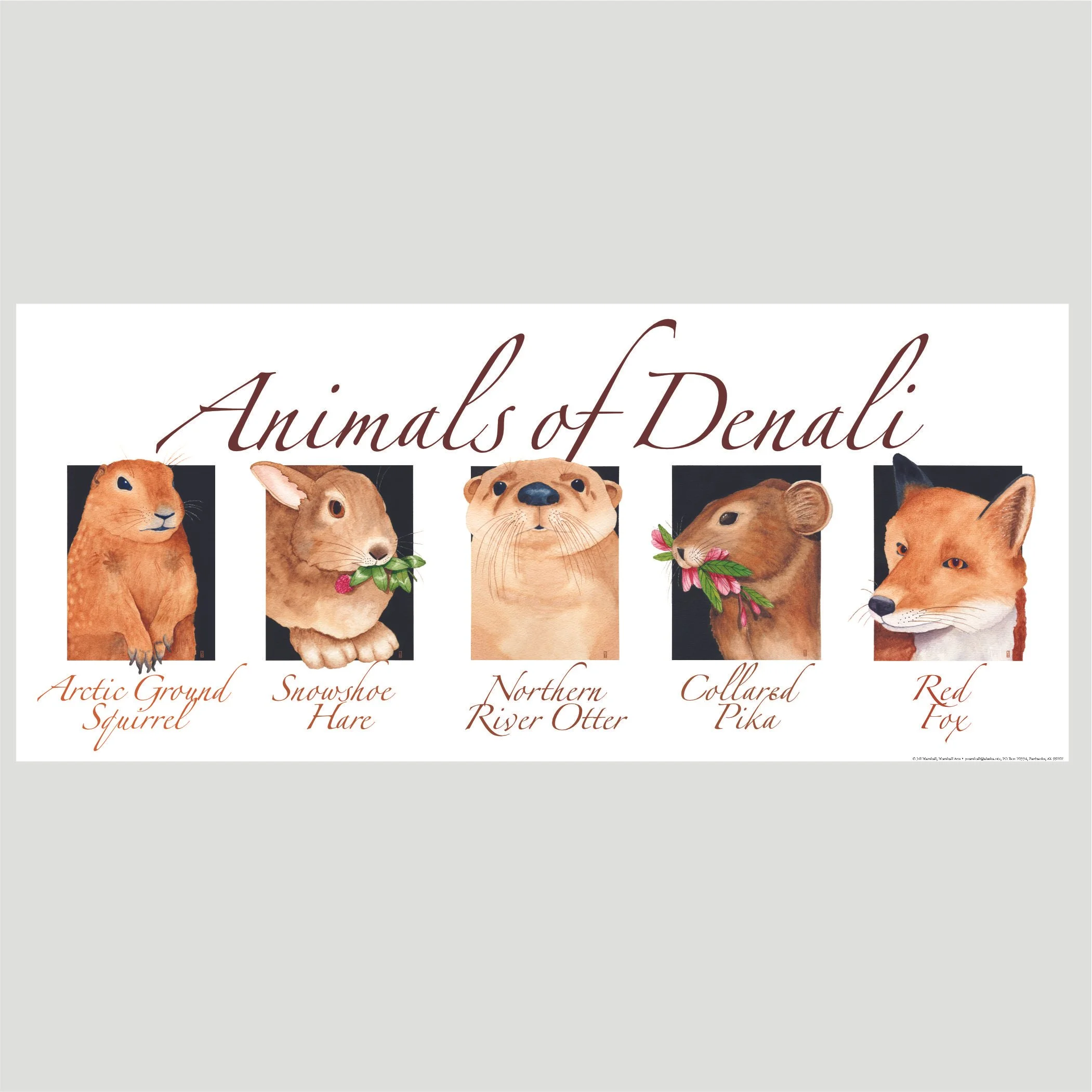 Animals of Denali poster