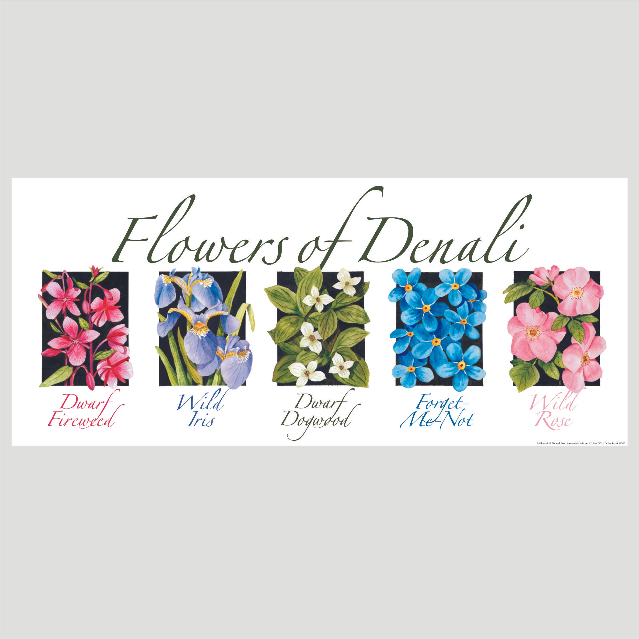 Flowers of Denali poster