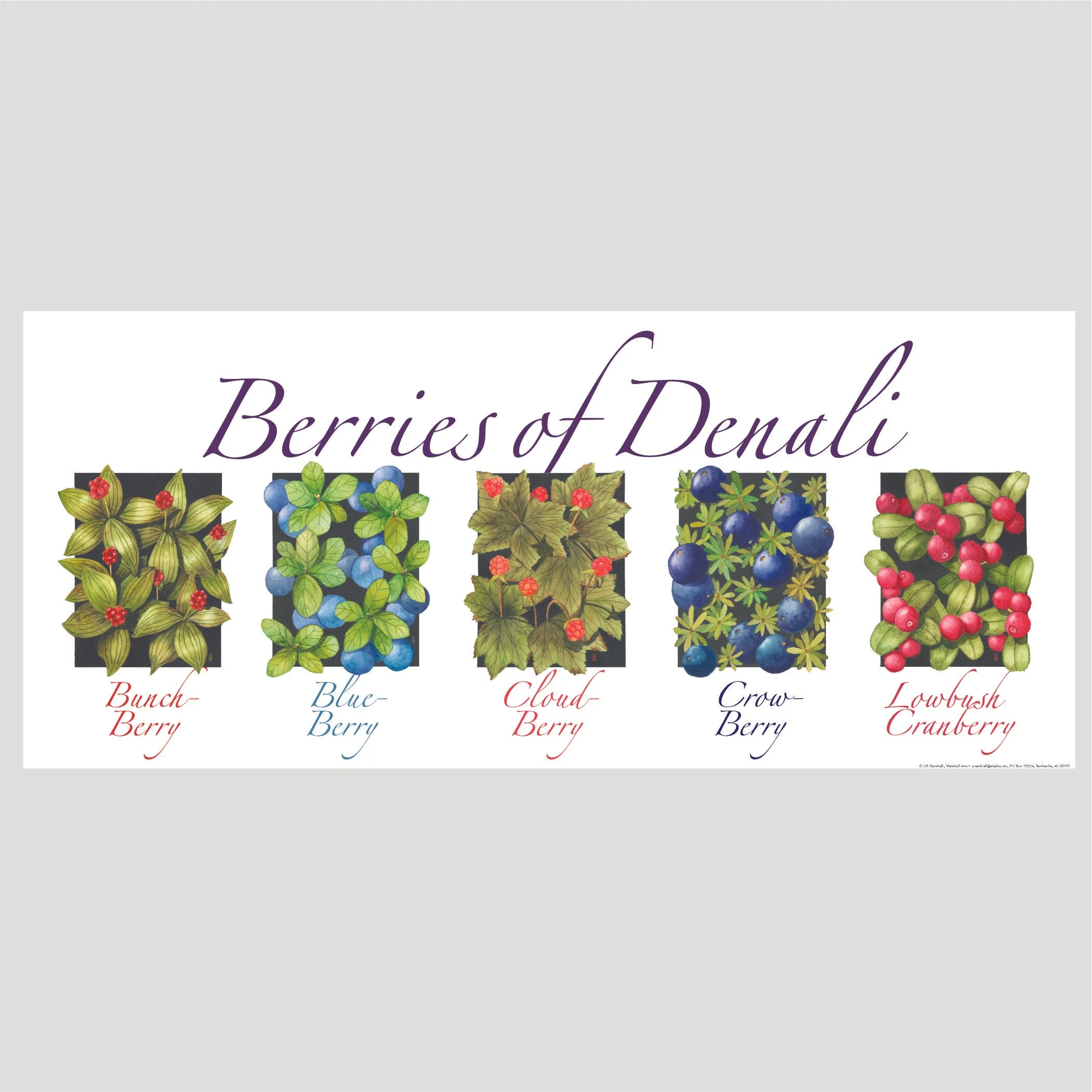 Berries of Denali poster