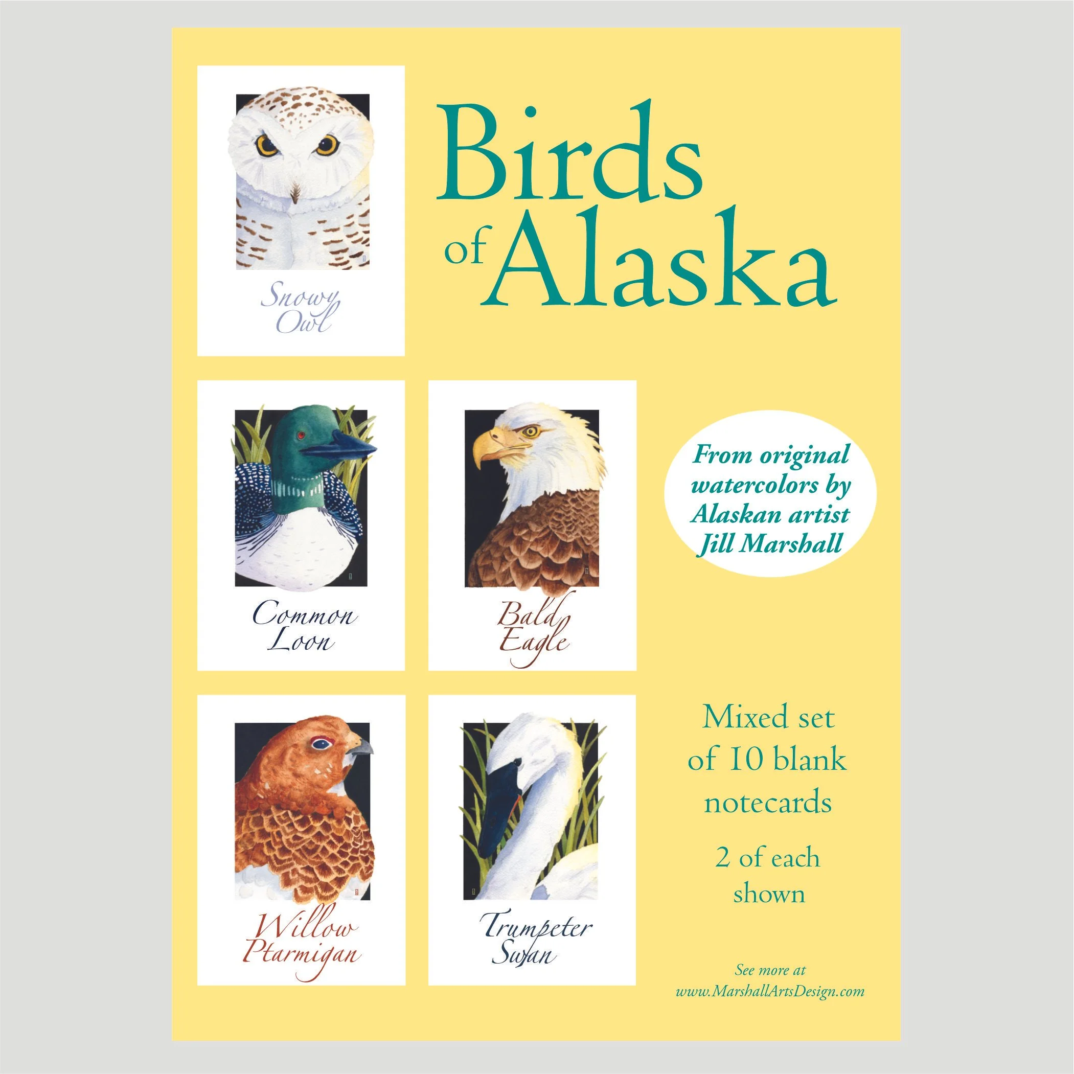 Birds of Alaska Box Set