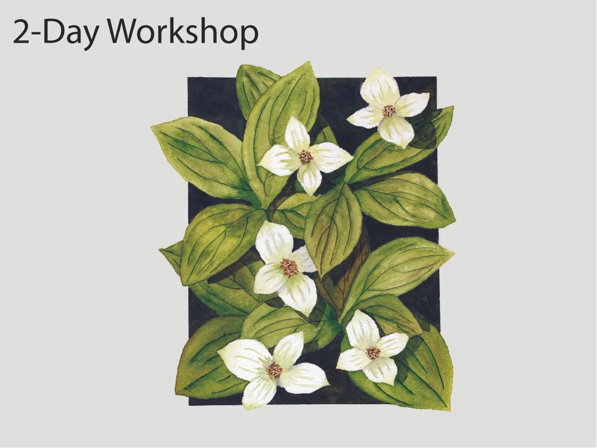 Dwarf Dogwood 8x10", Sat and Sun, October 17-18, from 9am-3pm