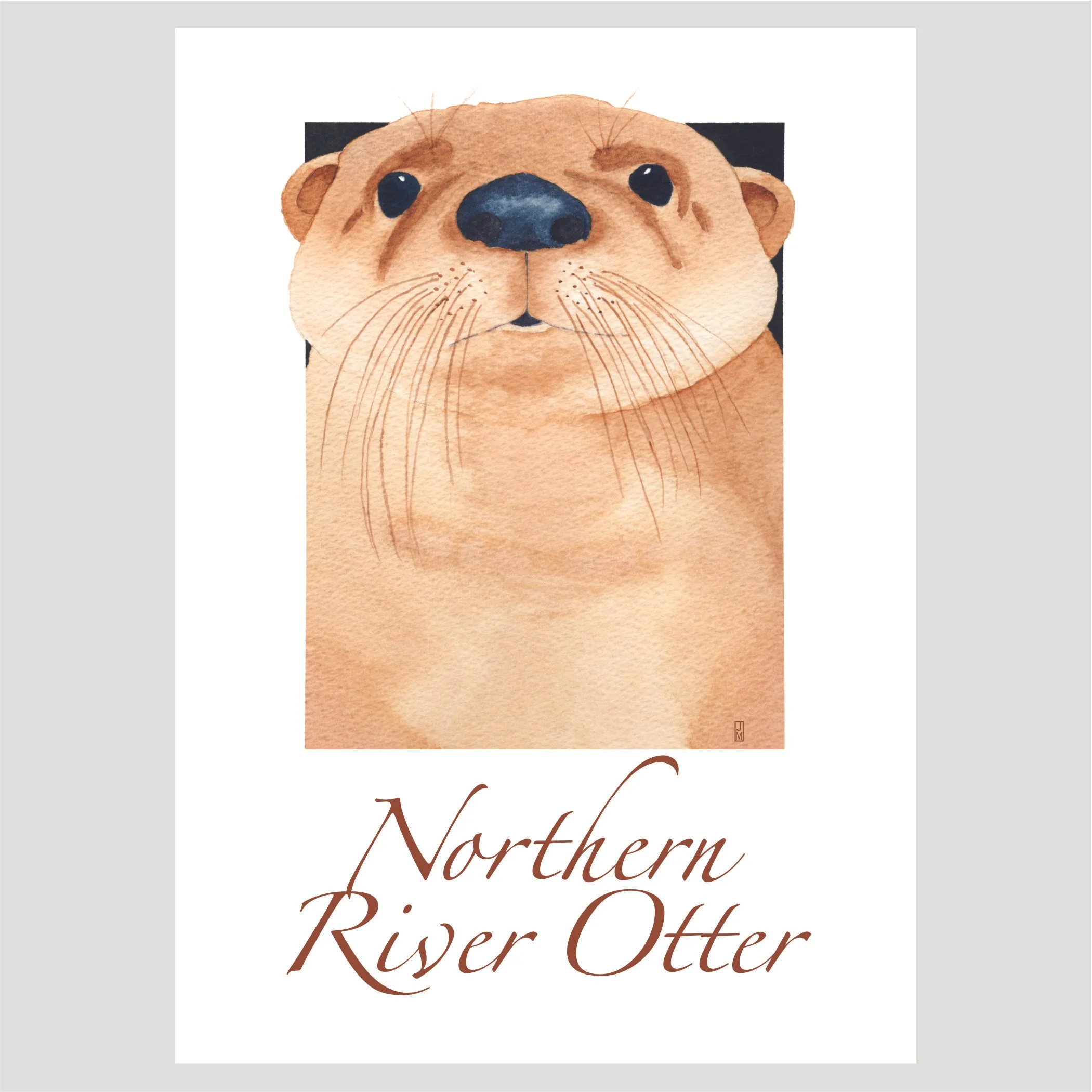 Otter.jpg