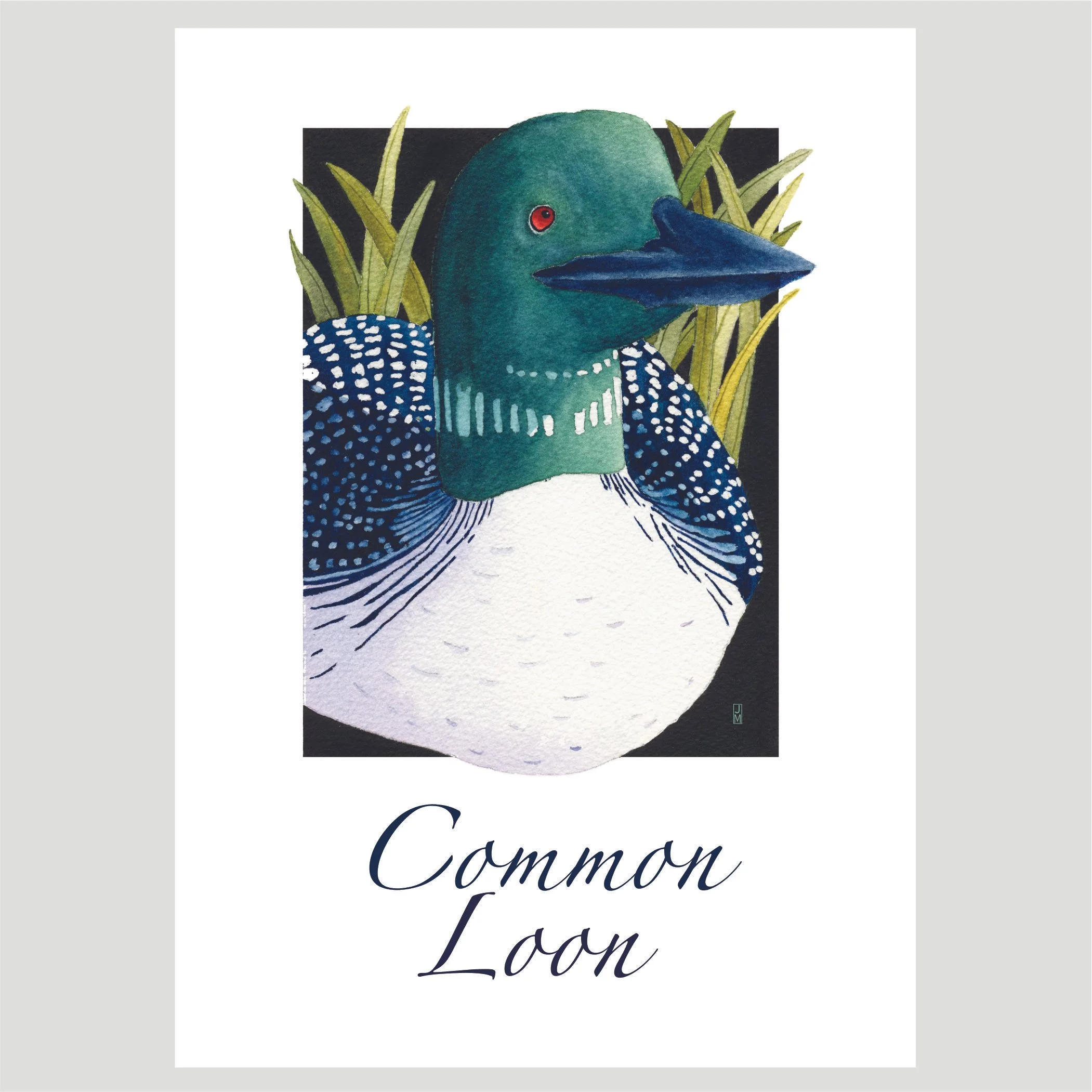 Loon.jpg