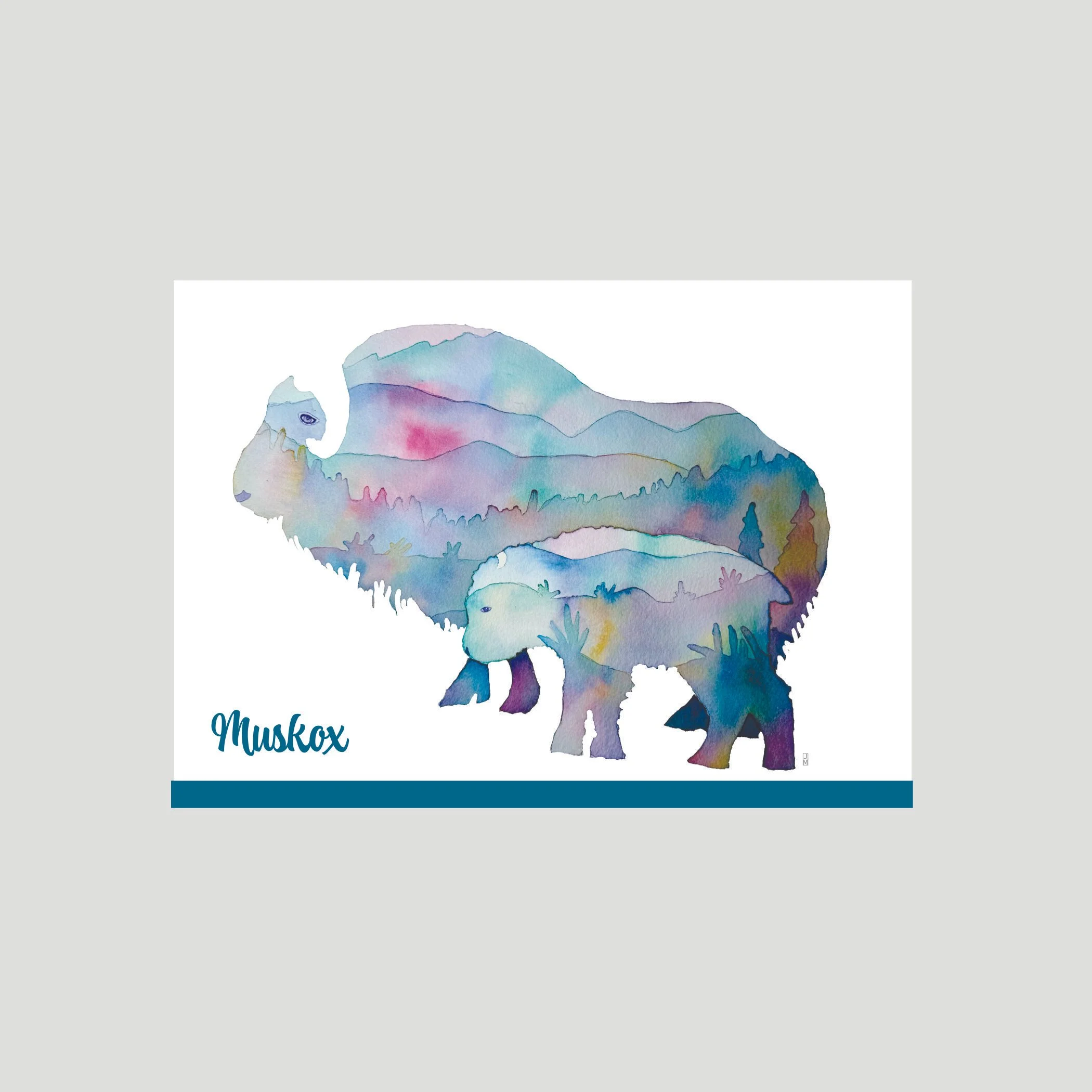 Muskox.jpg