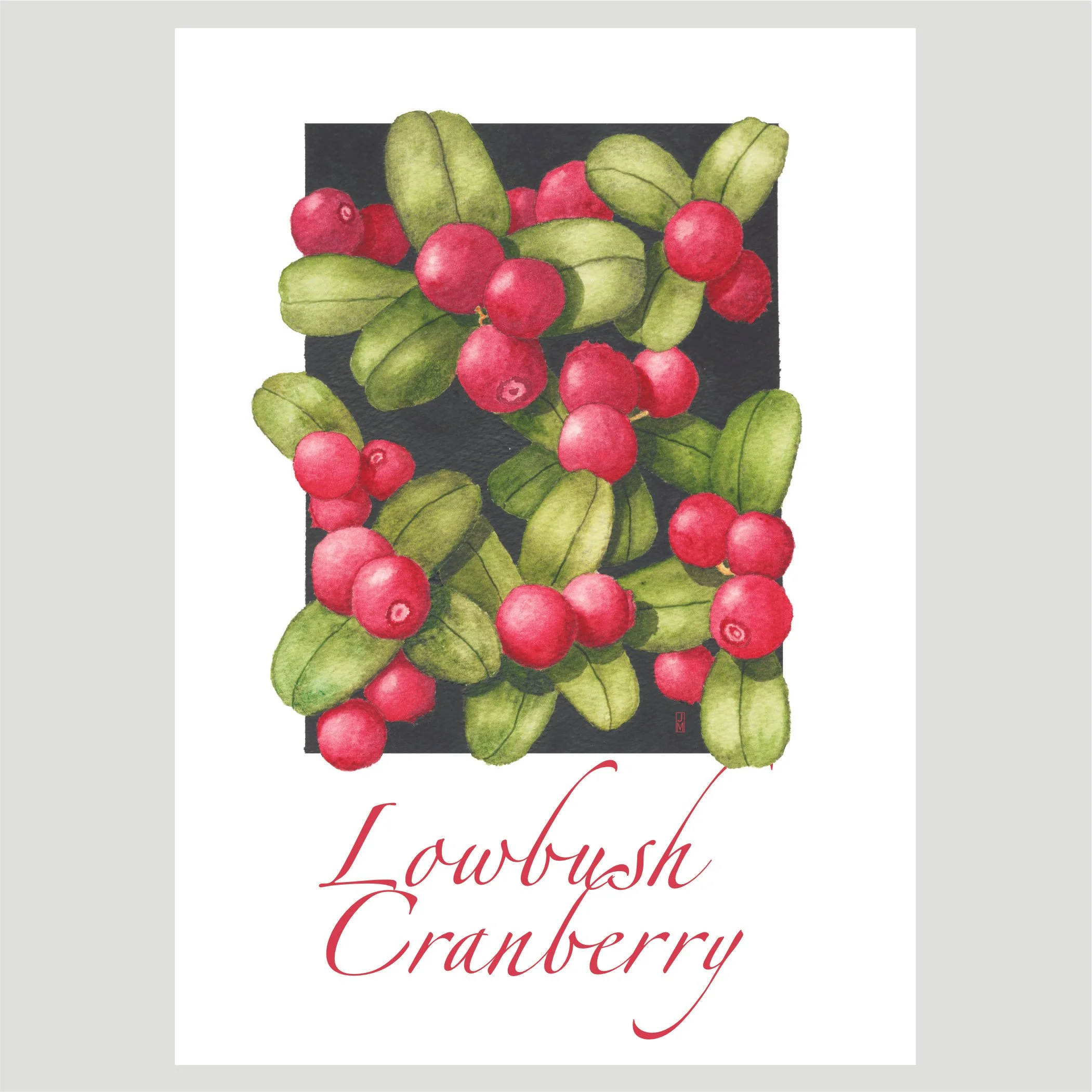 Cranberry.jpg