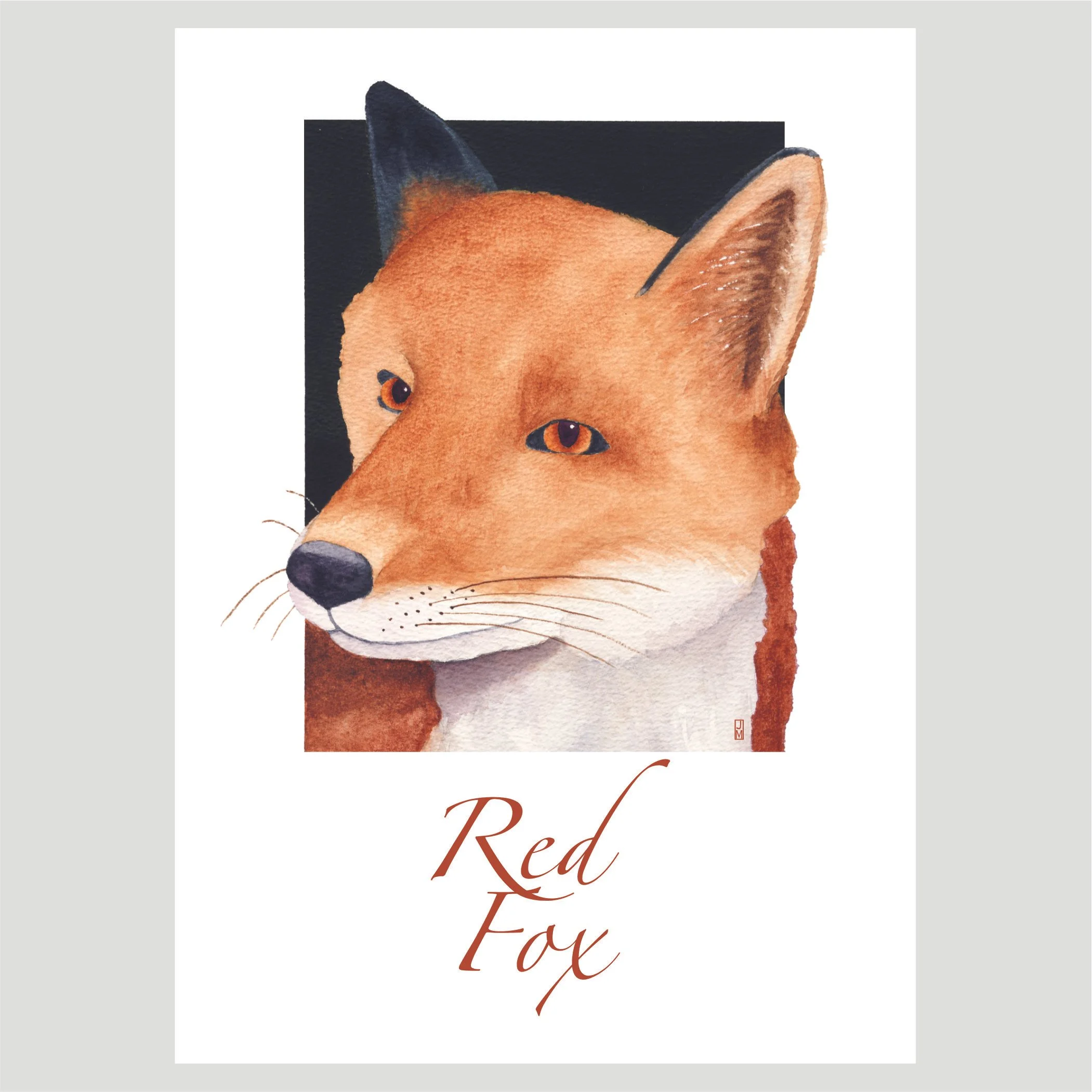 Fox.jpg