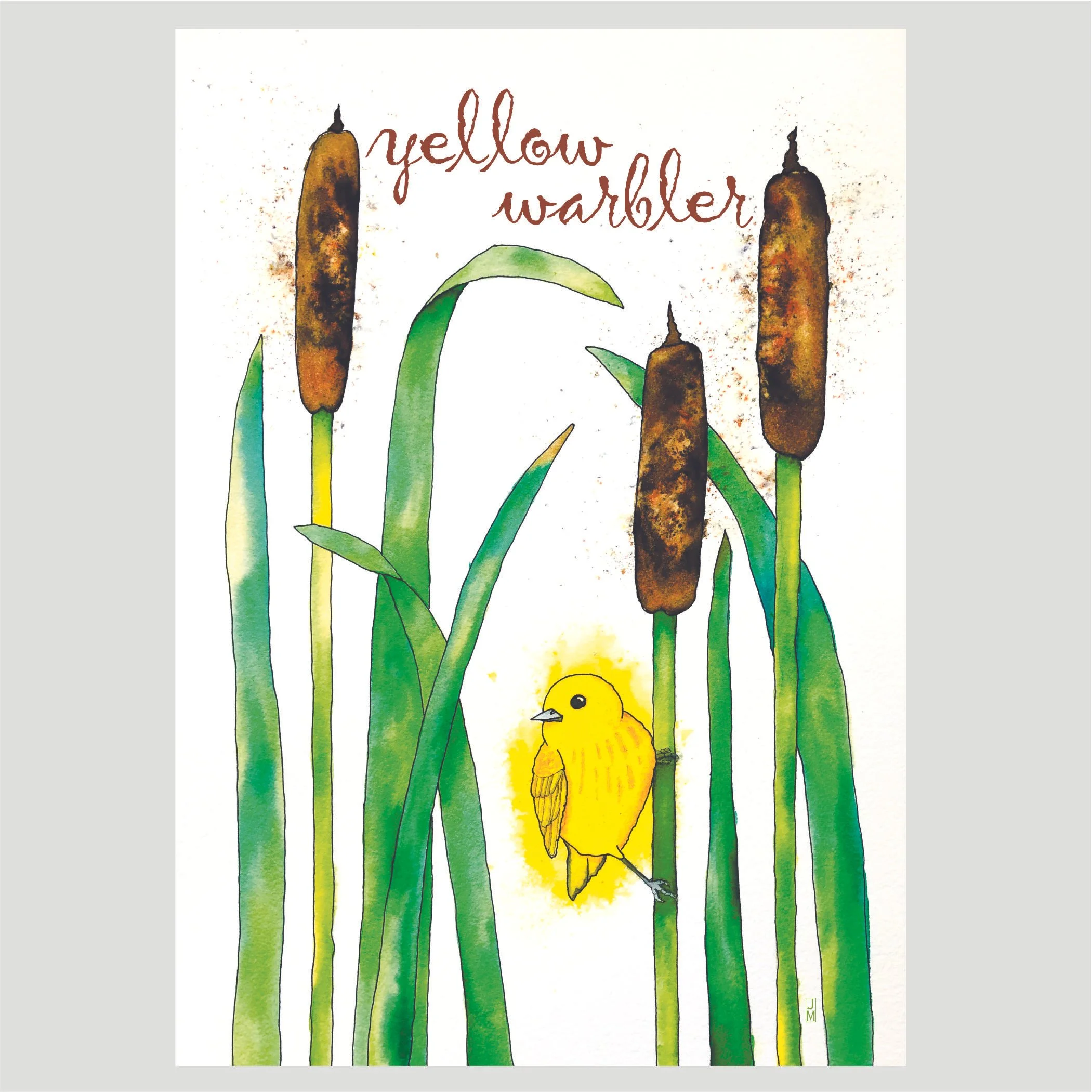 warbler.jpg