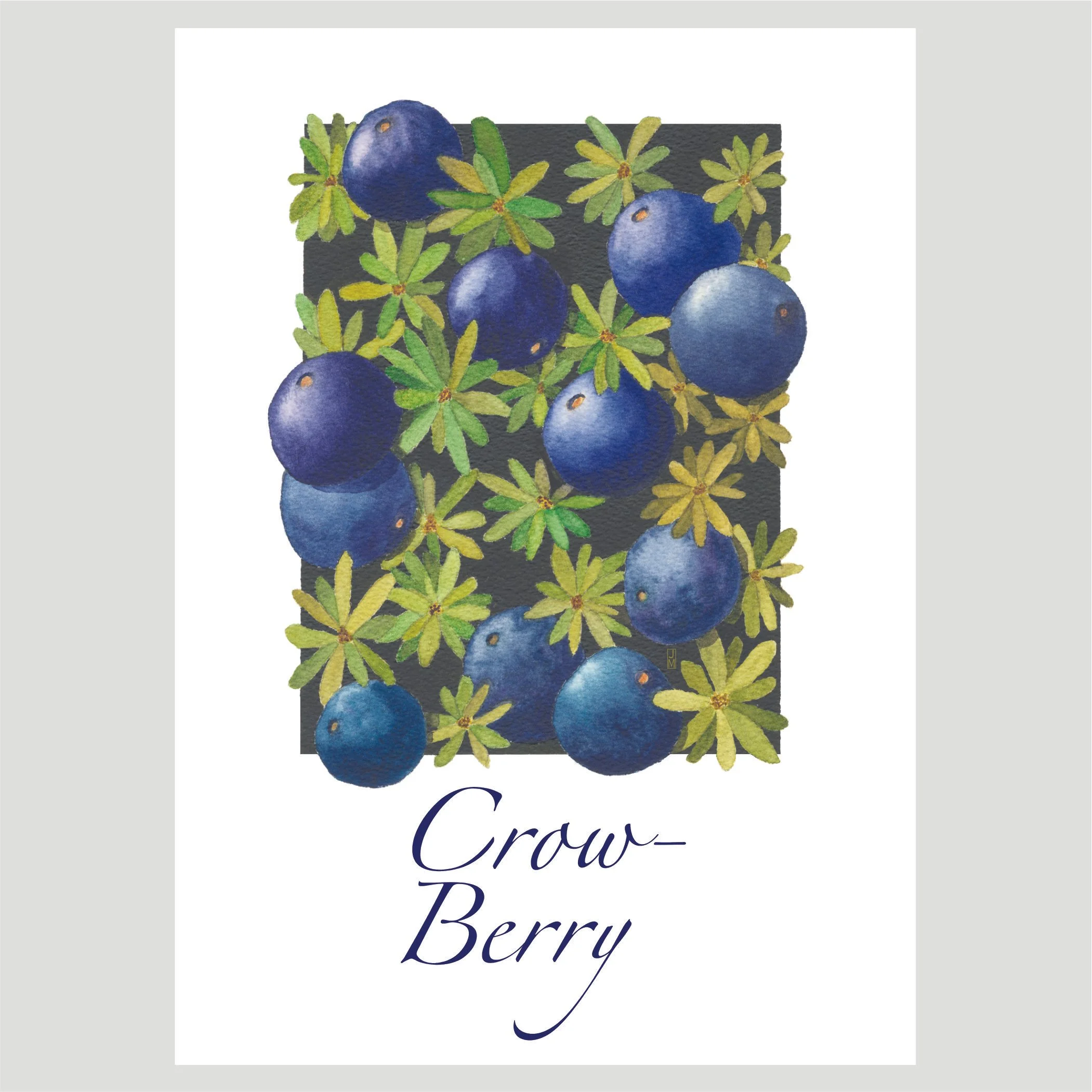 Crowberry.jpg