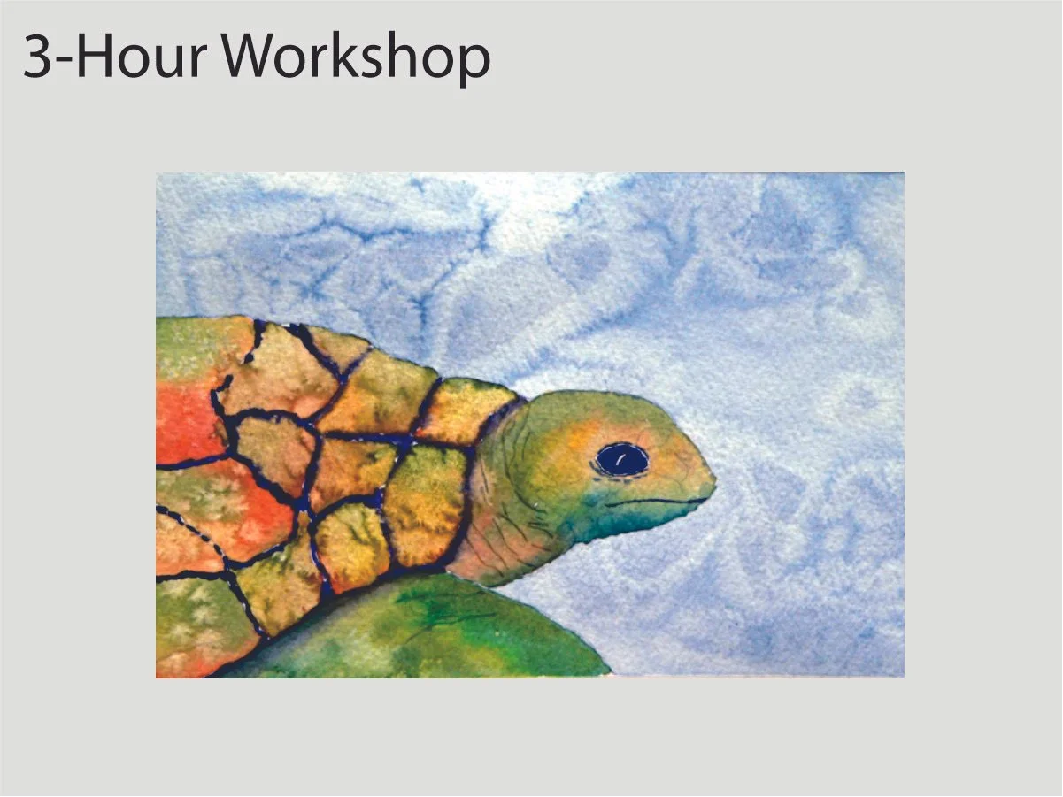 Turtle, Saturday, October 24, 5-8pm