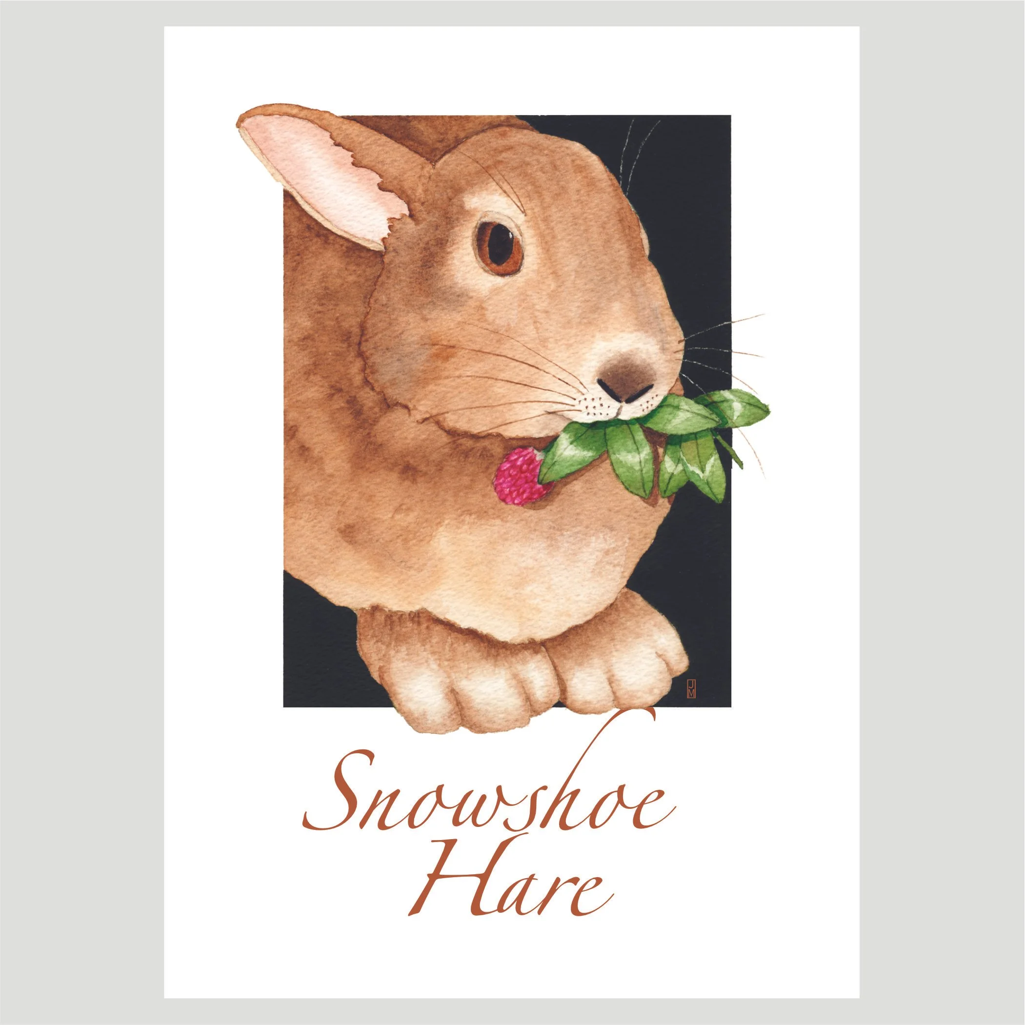 Hare.jpg