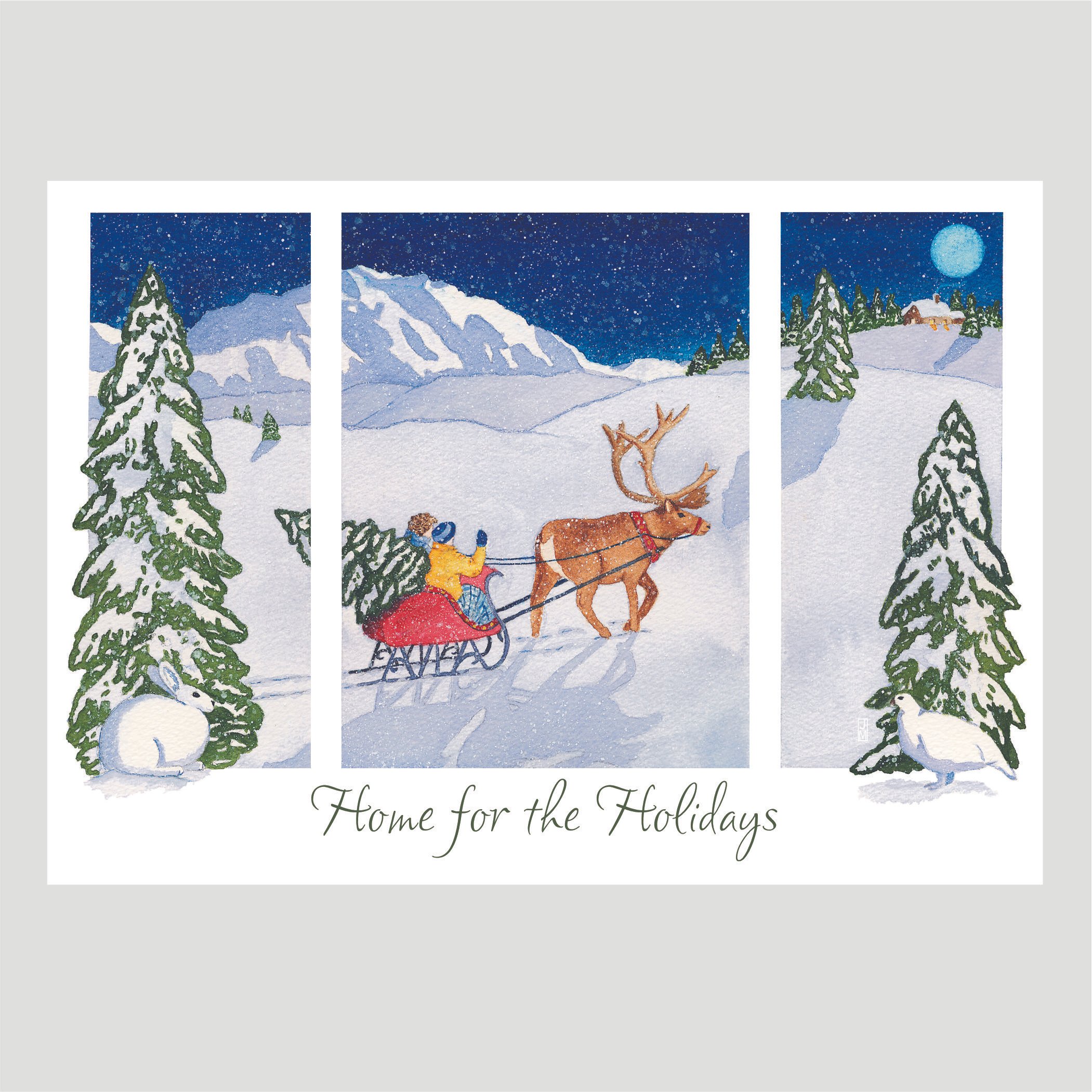 Denali Winter Scene Christmas Card Box Set