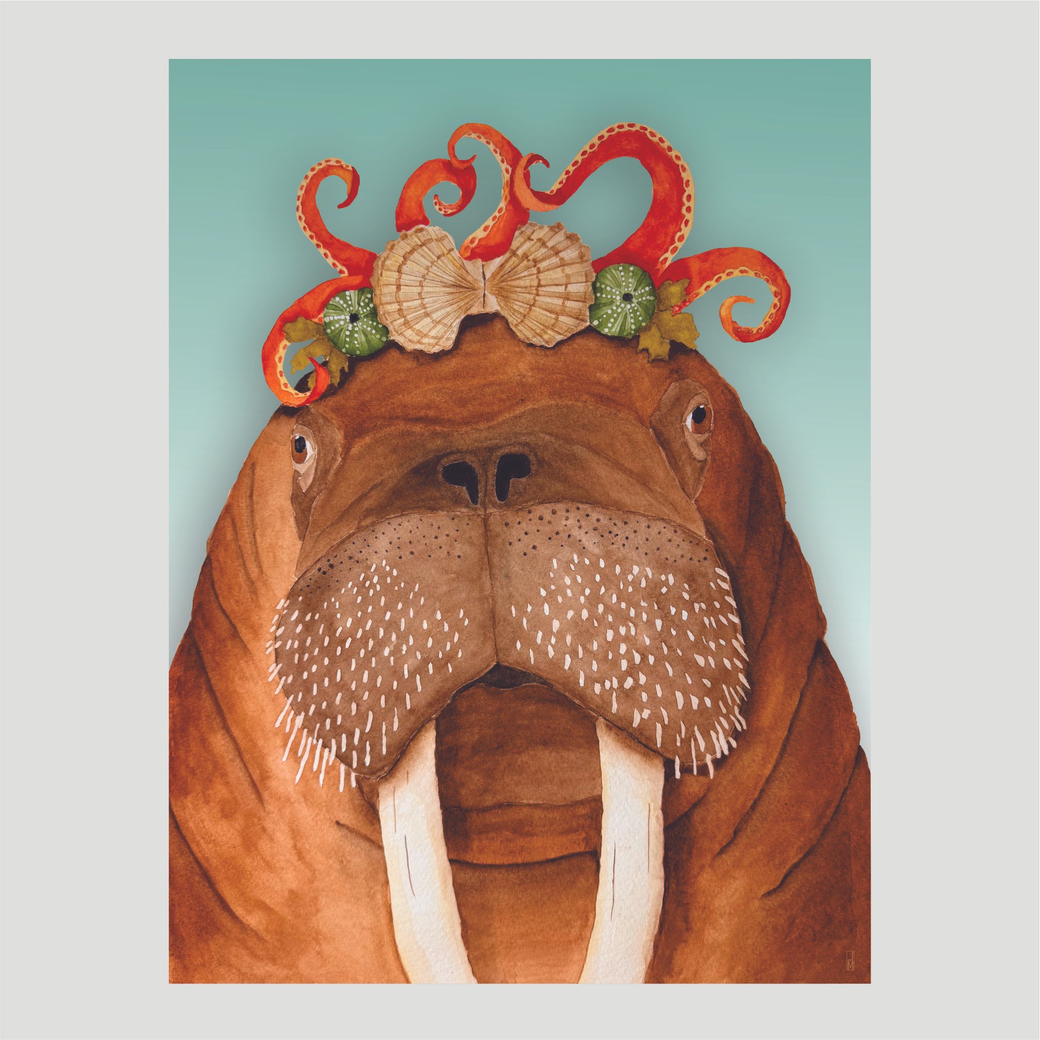 Walrus Box Set of Blank Cards