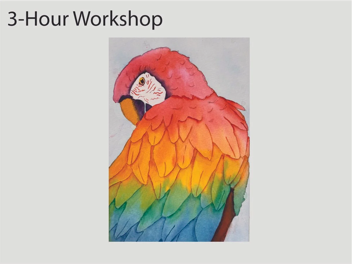 Parrot 6x9" Saturday March 7, 5-8pm