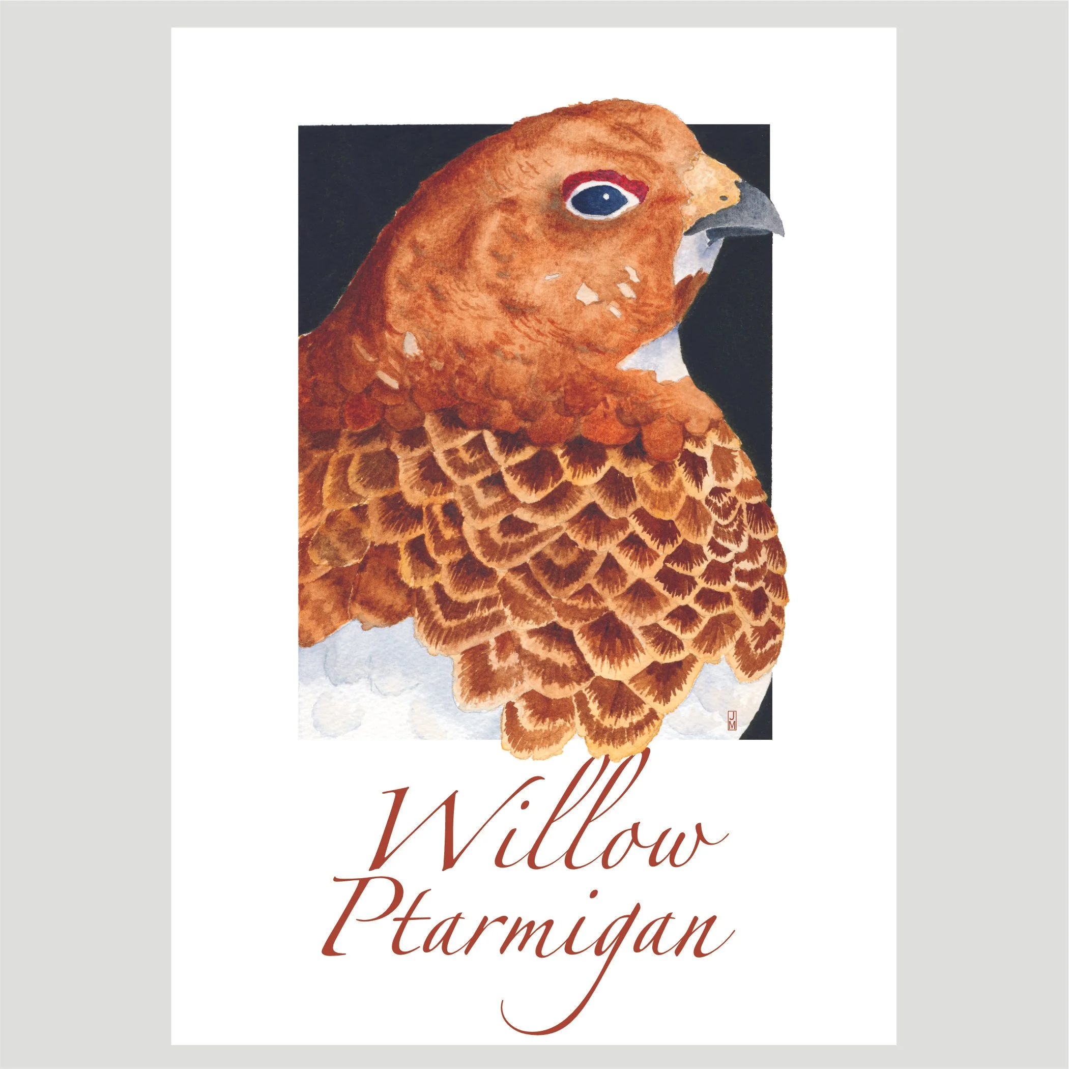 ptarmigan.jpg
