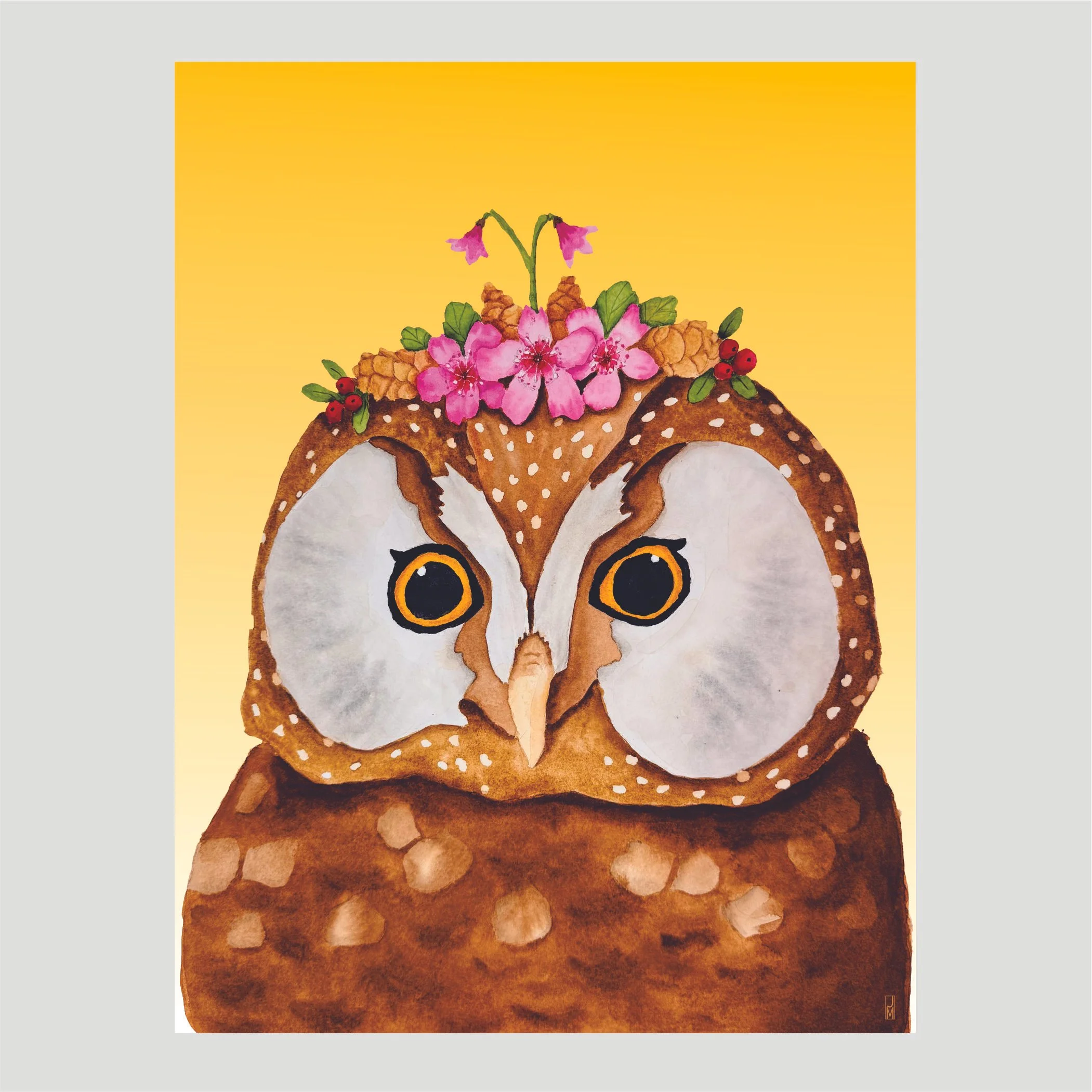 Boreal Owl Box Set of Blank Cards