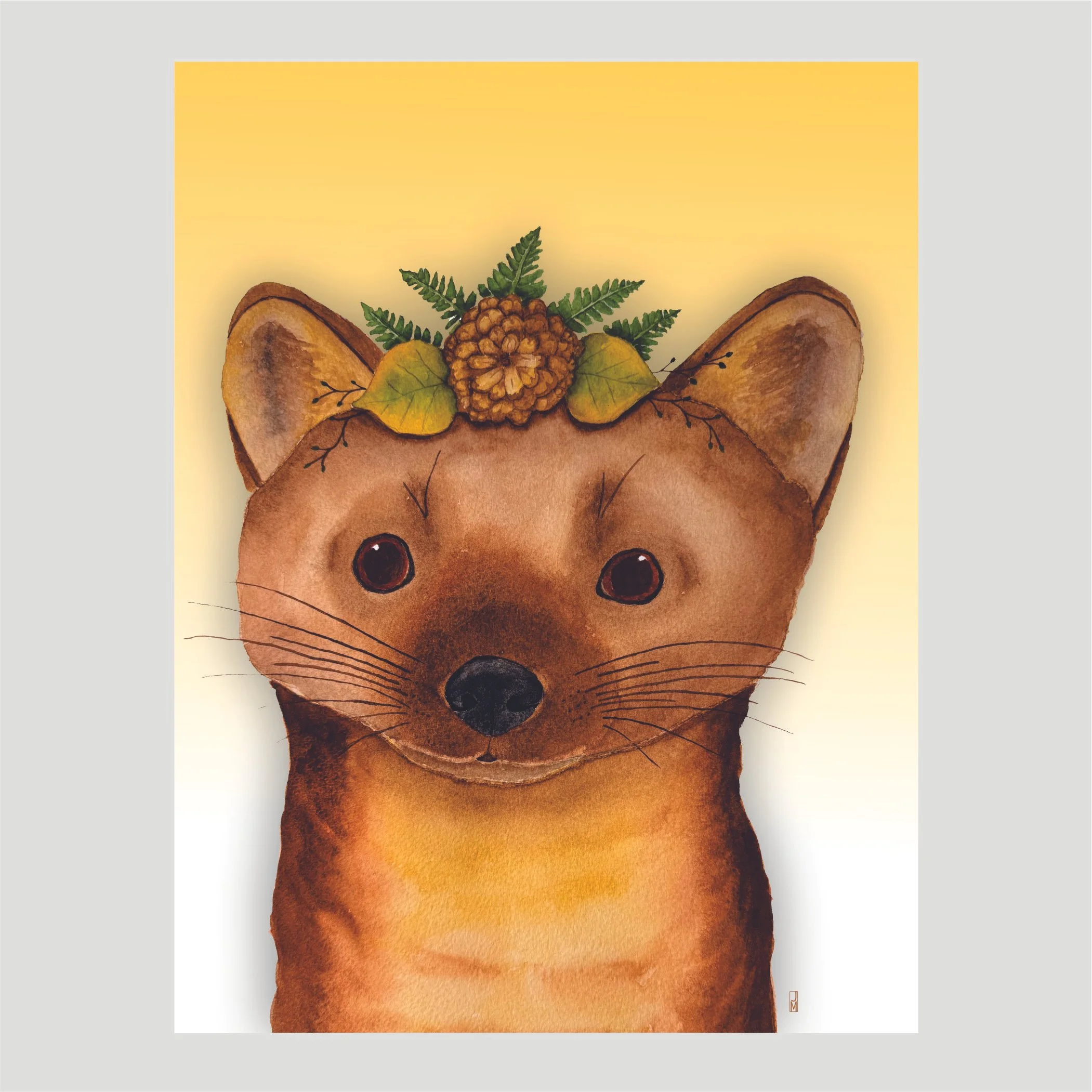 Pine Marten Box Set of Blank Cards
