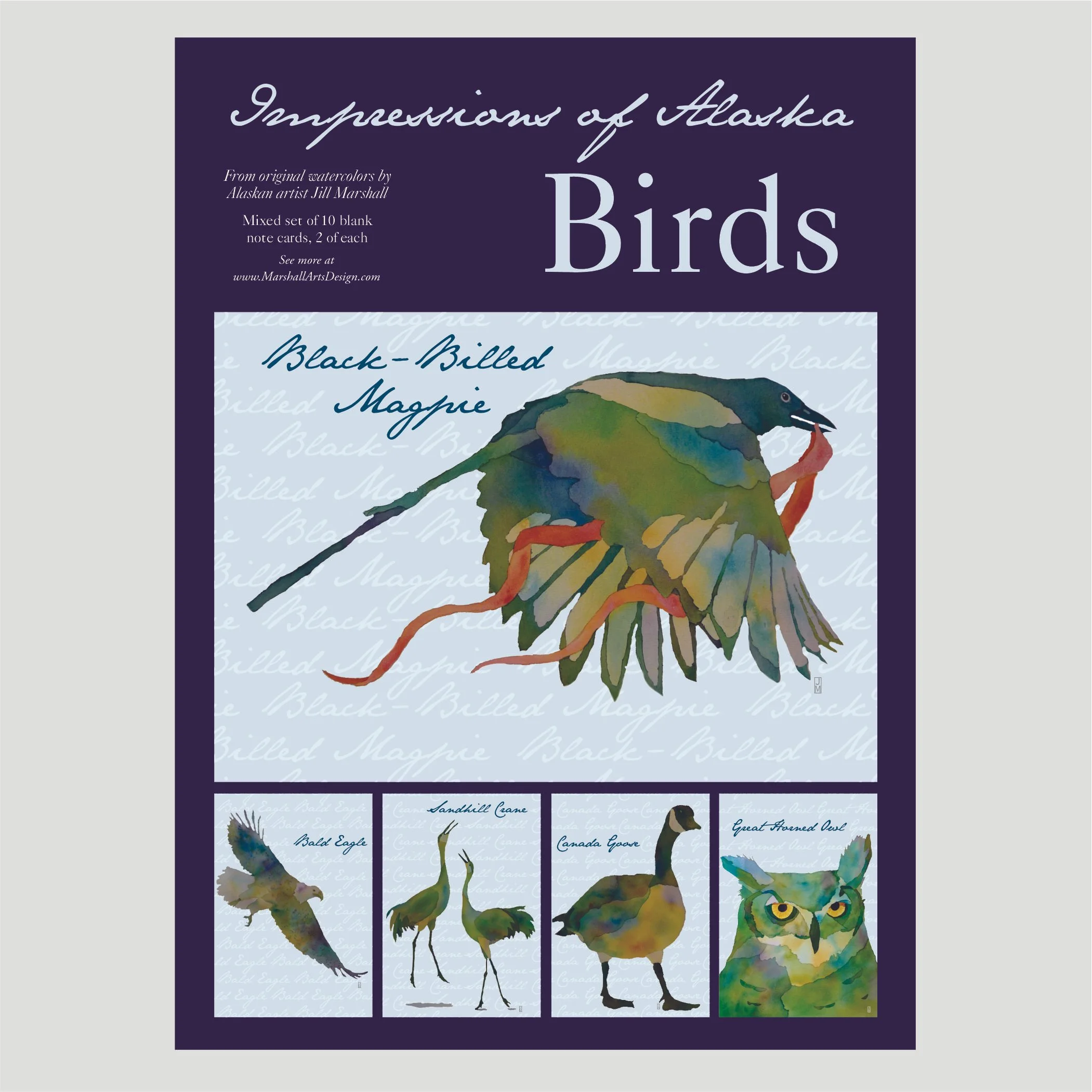 Impressions of Alaska Birds Box Set