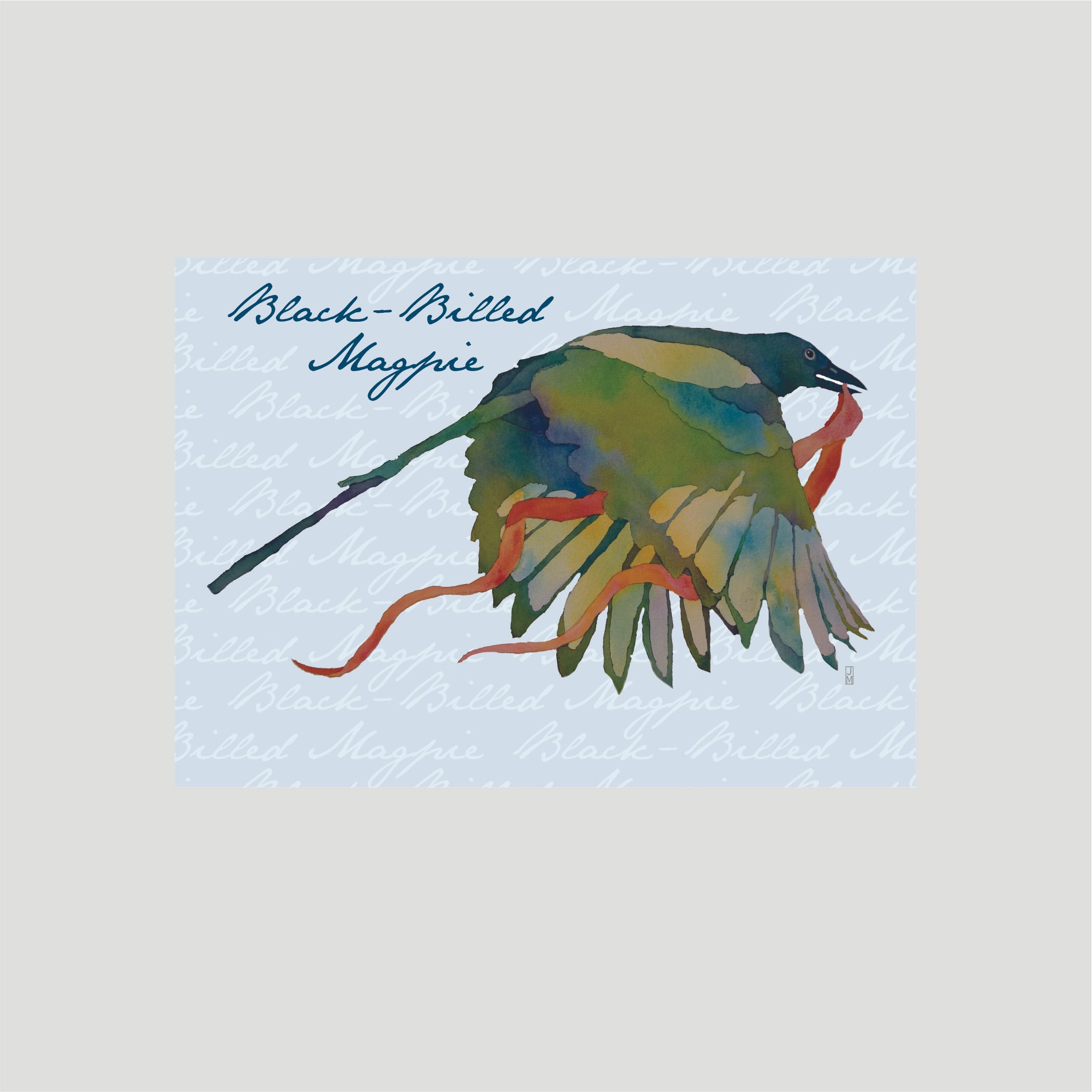 magpie.jpg