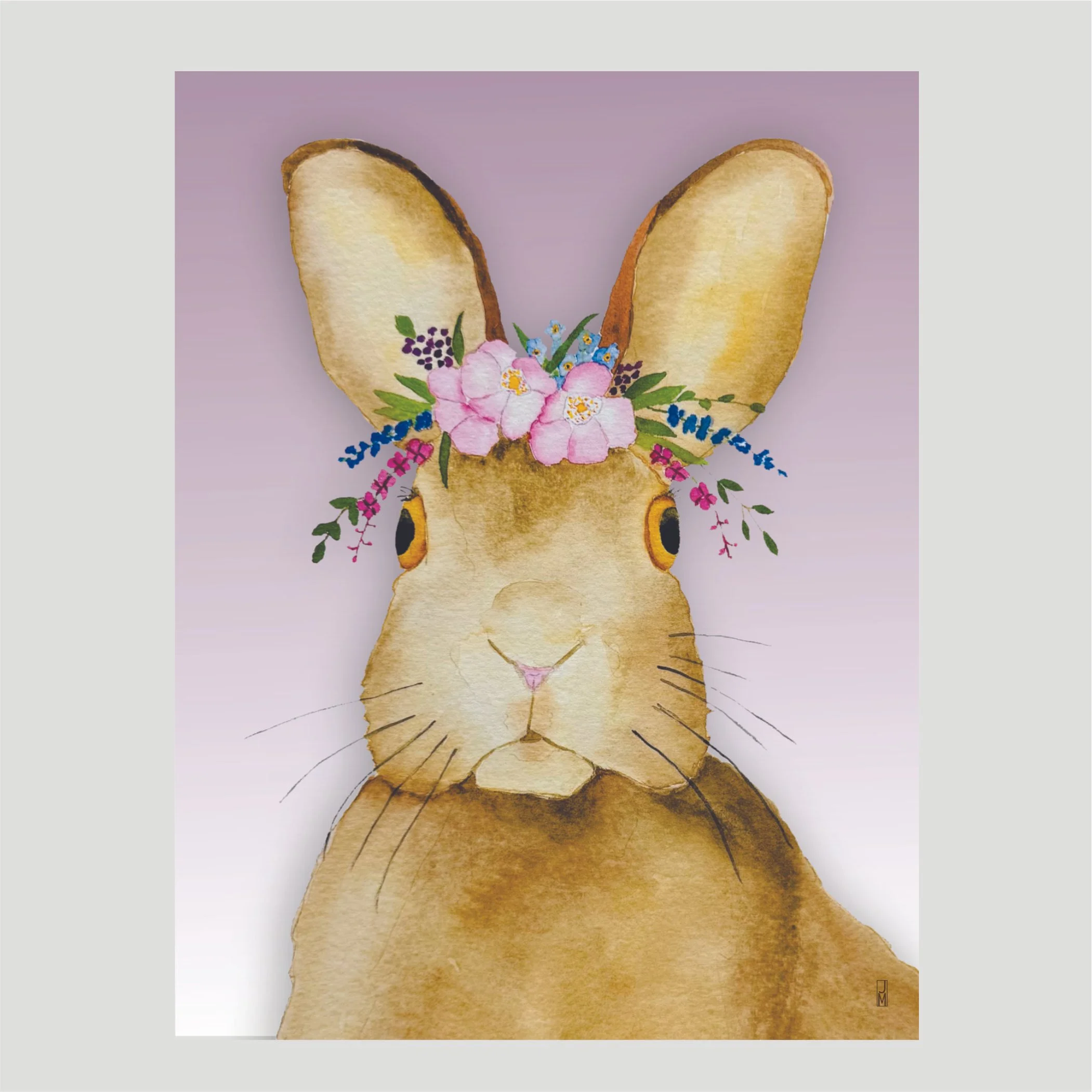 Snowshoe Hare Box Set of Blank Cards