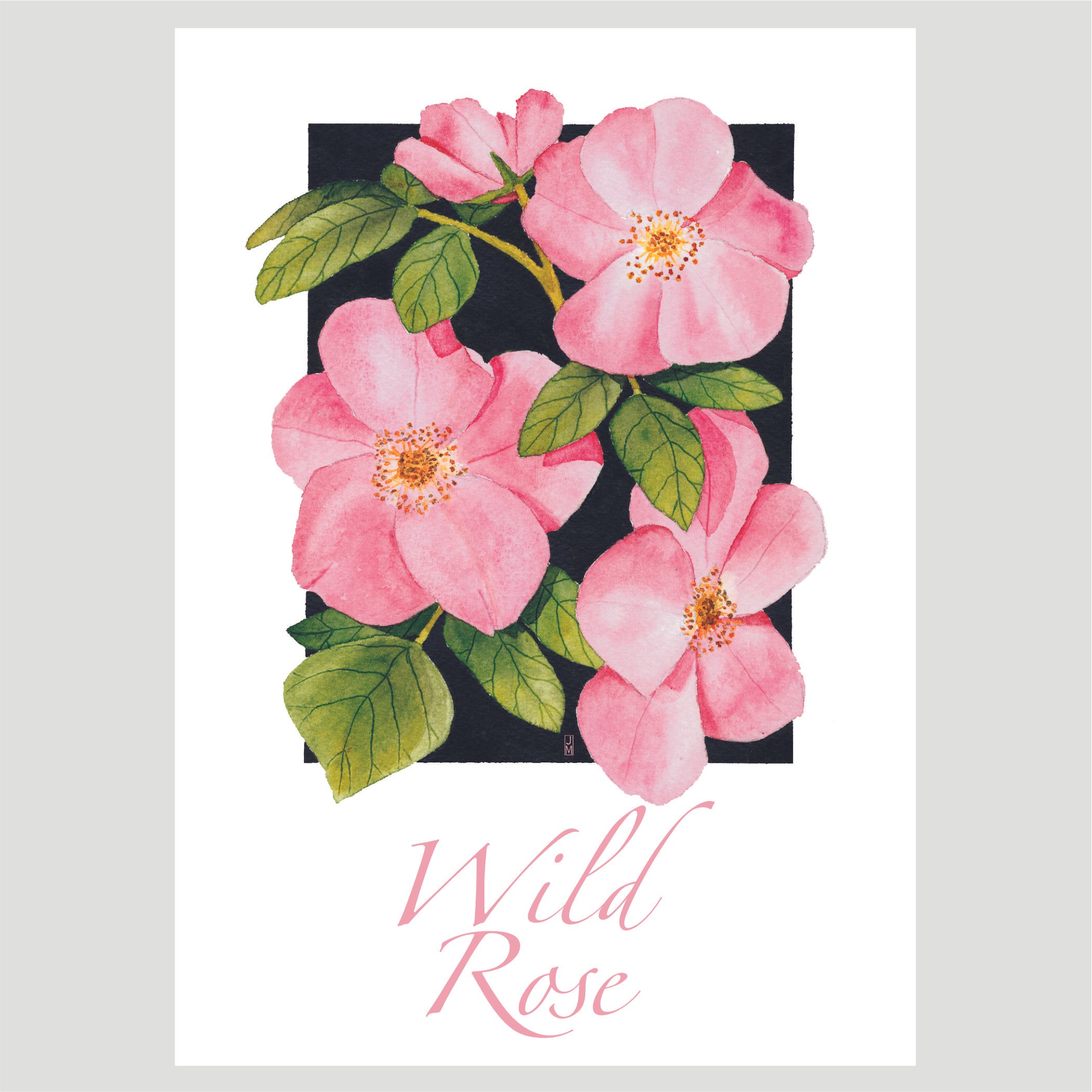 Wild Rose.jpg