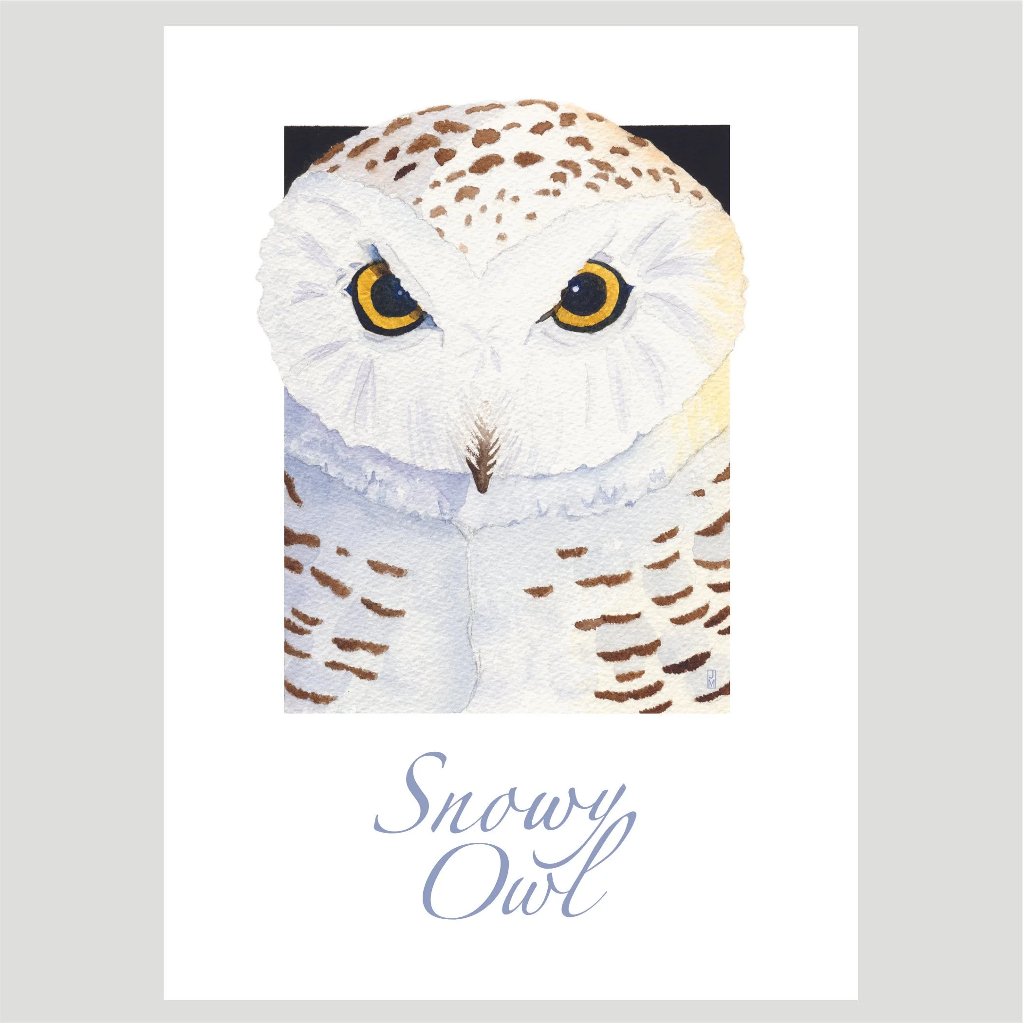 Snowy Owl.jpg