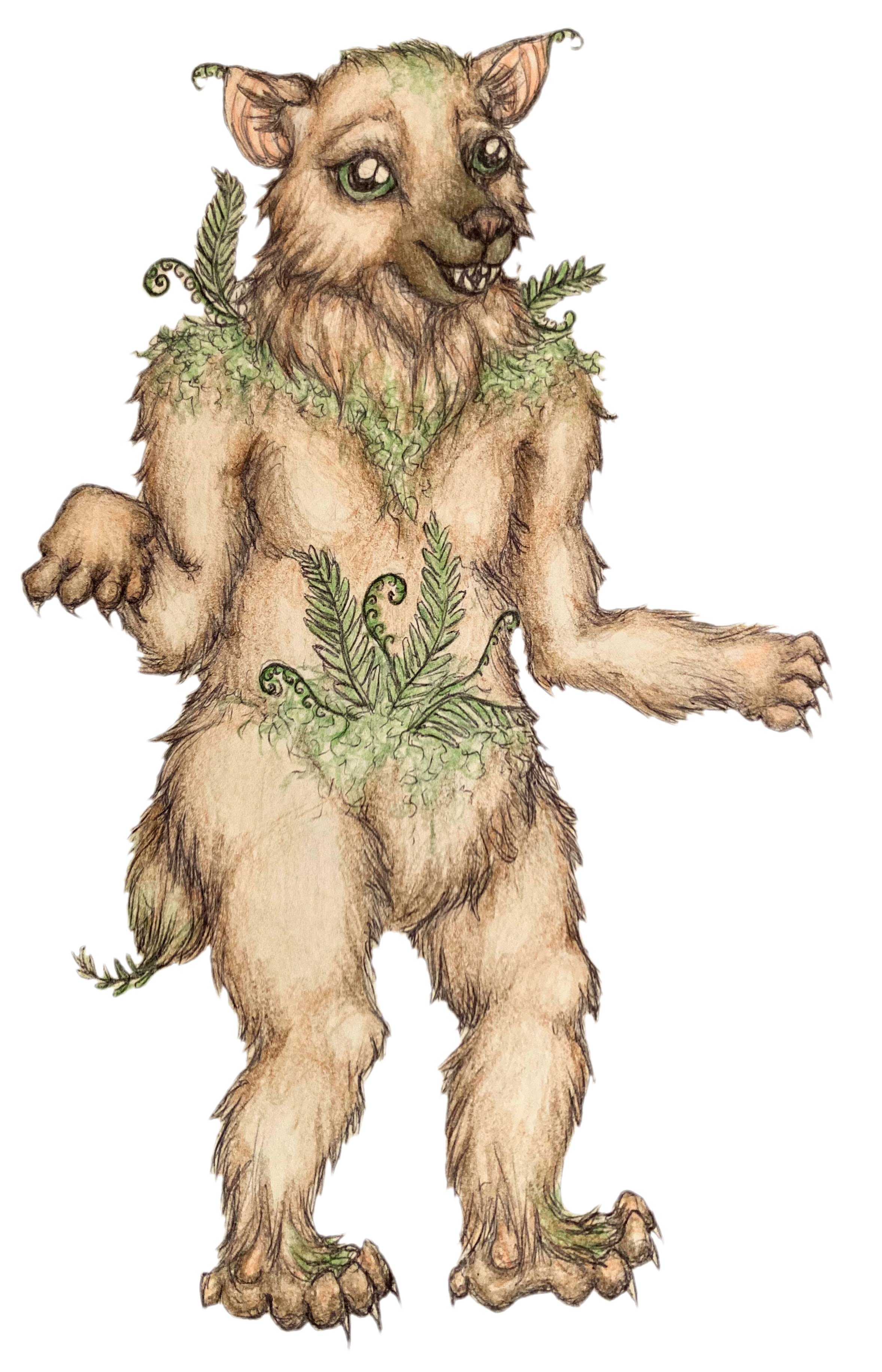 FernBear.png