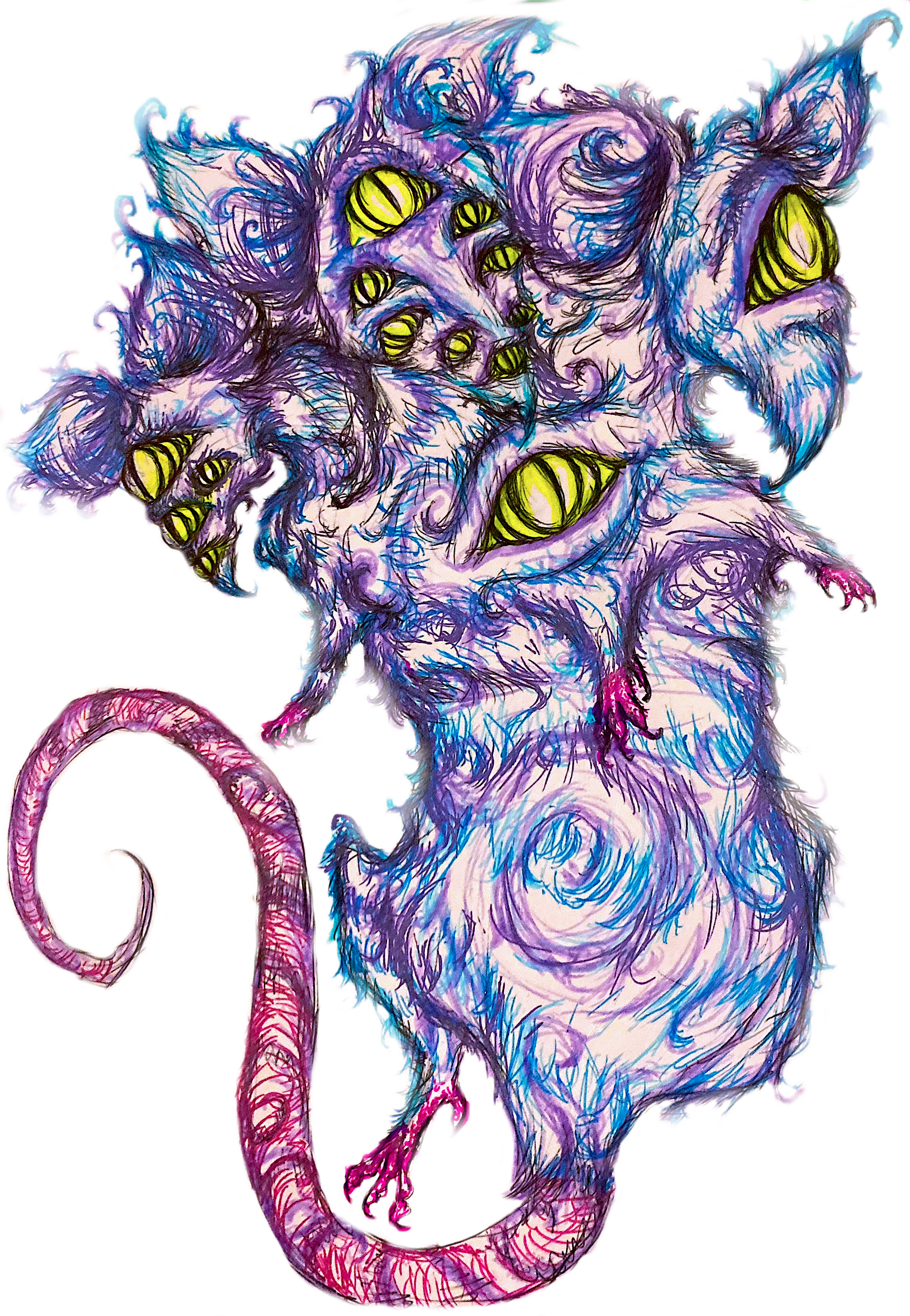 Rat1.png