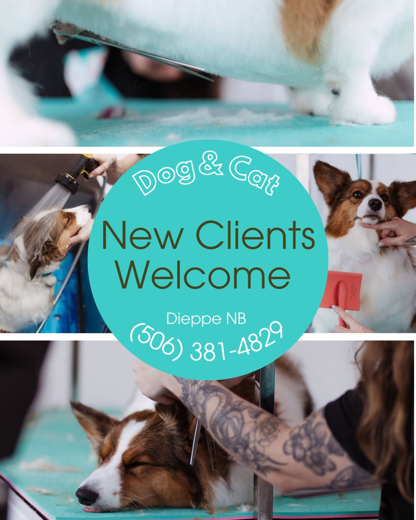 Is your pup ready for a fresh look and some pampering? We&rsquo;re now accepting new clients and would love to meet you and your four-legged friend!🥰

At Auntie Becca&rsquo;s we believe grooming should be a stress-free, positive experience&mdash;for