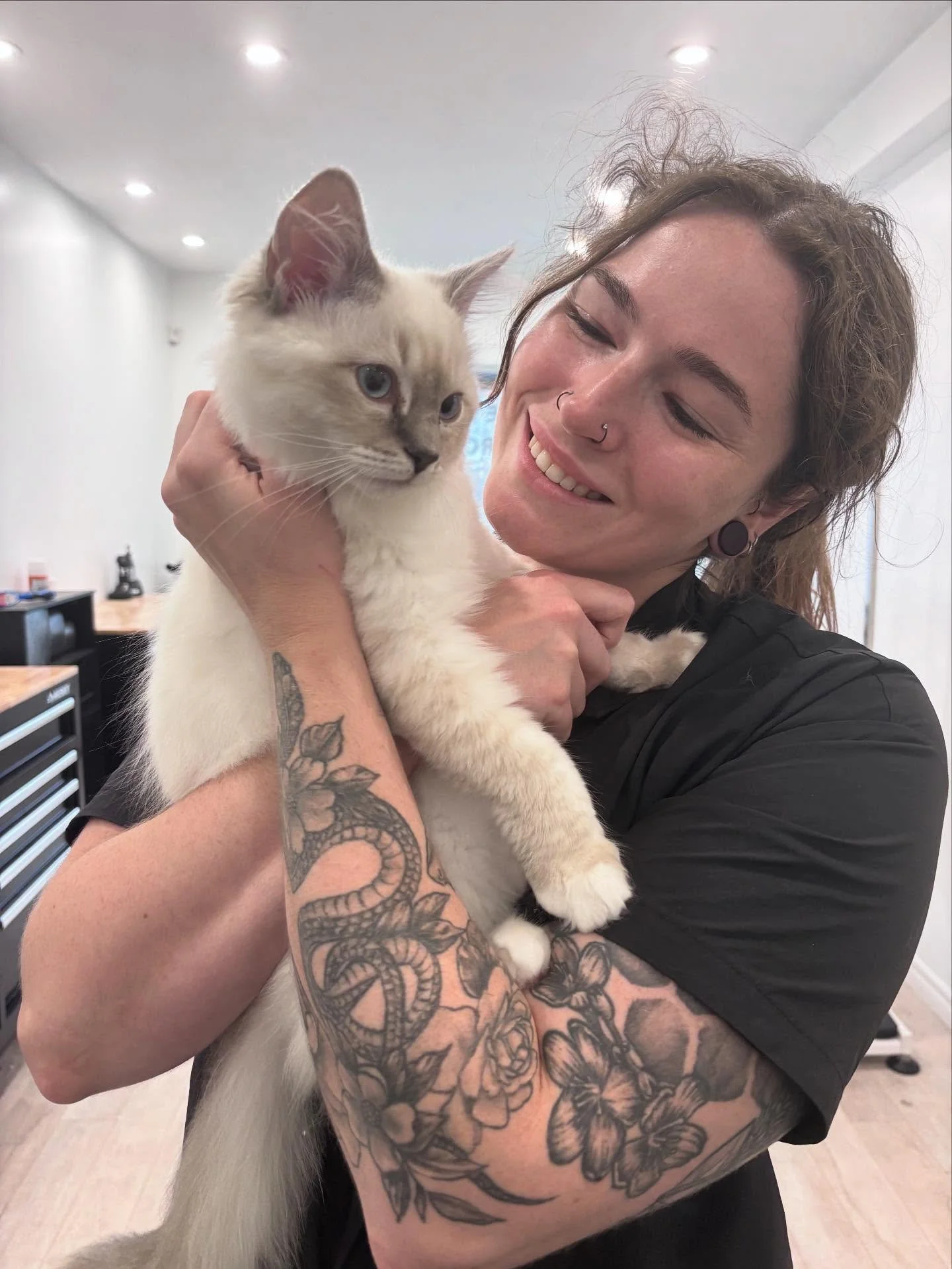 We love cat day😻 
If you&rsquo;re kitty needs a nail trim we will be hosting our cat day between 4:30&ndash;7. Text or dm to schedule🤍 
&bull;
📲(506)381-4829 
&bull;
&bull;
&bull;
&bull;
#catday #cats #catgrooming #catgroomer #kitten #nailtrim #na