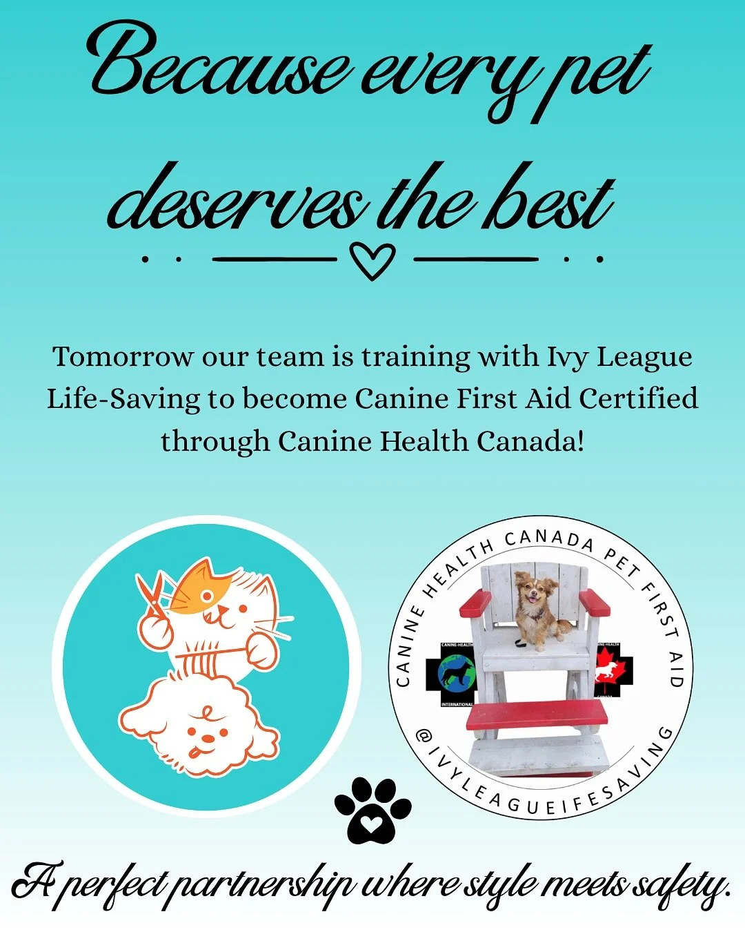 🐾Big News! 🐾

On October 20th, the team at Auntie Becca&rsquo;s Grooming will be completing Canine First Aid Fundamentals training with Ivy League Life-Saving, certified through Canine Health Canada!🚨

Becca is already certified in Canine Emergenc