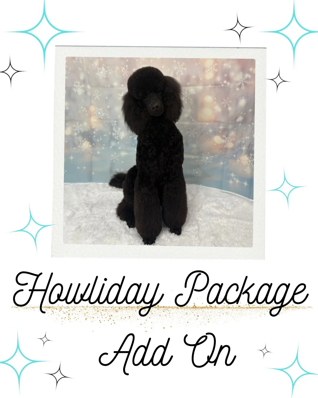 Our Howliday Package is officially here! 🎄🐶

Treat your pup to a festive bandana, a sweet Santa Paws spritz, and the cutest digital holiday photo to show off their glow-up.📸

All this holiday sweetness for just $15+tax! 
The perfect add-on for a l