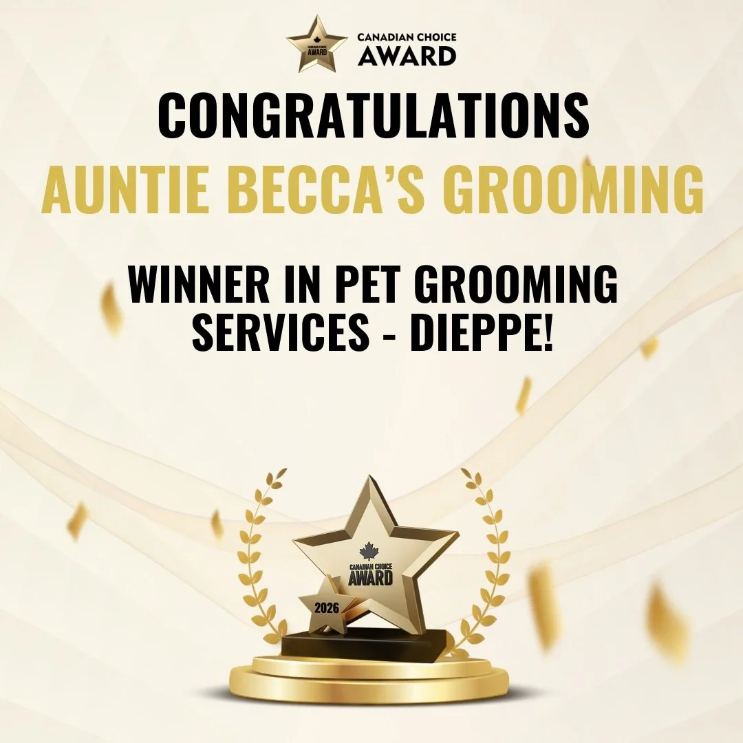 Im so unbelievably proud of our team of wonderful Aunties🤍✨
&bull;
&bull;
&bull; @canadianchoiceaward 
&bull;
&bull;
#proud #winners #canadianchoiceaward #hardworkpaysoff #auntiebeccasgrooming