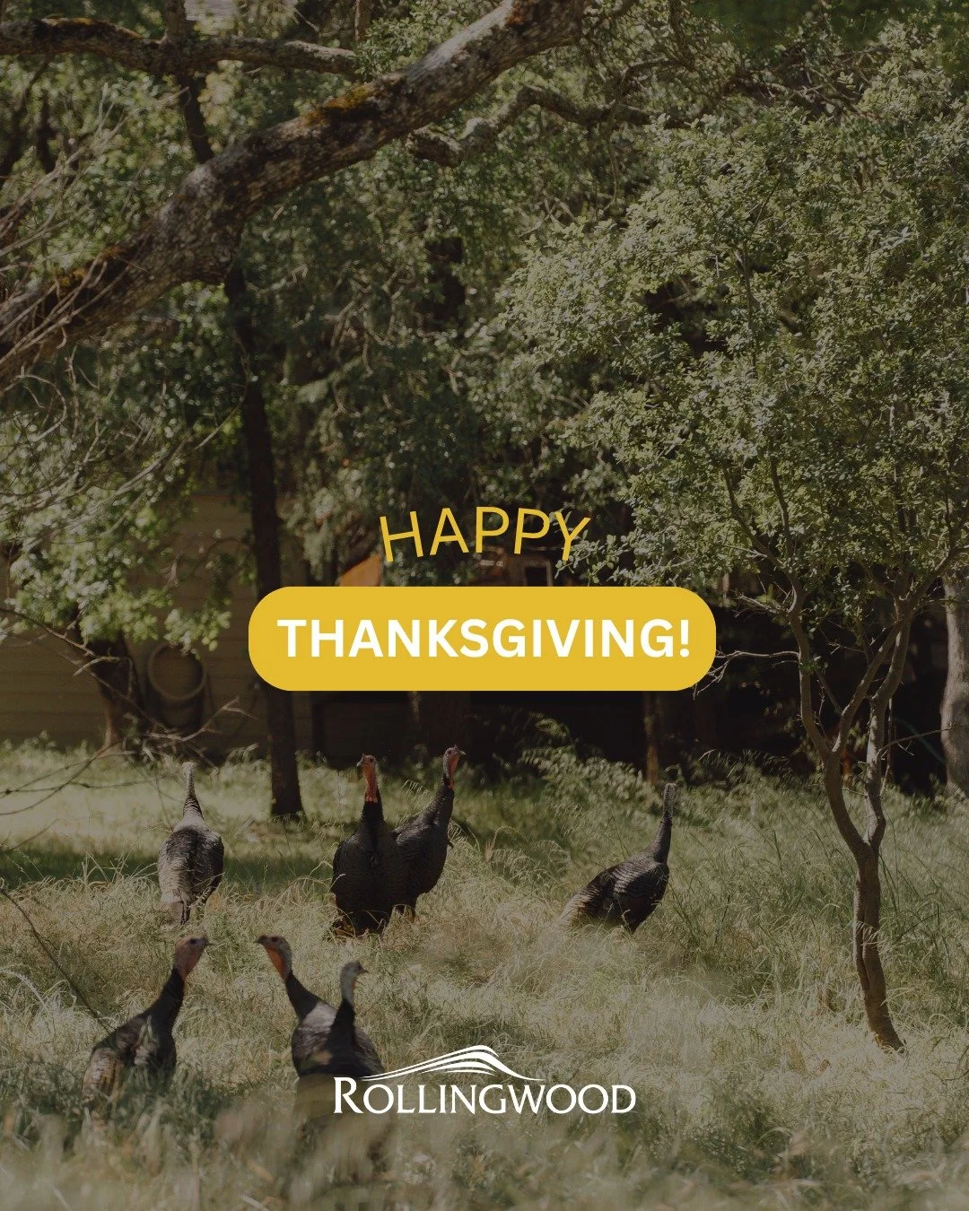Happy Thanksgiving to the Rollingwood Community 🦃🍁 Grateful for our community that makes this place feel like home. Wishing everyone a warm and joyful holiday. 🧡 

#HappyThanksgiving