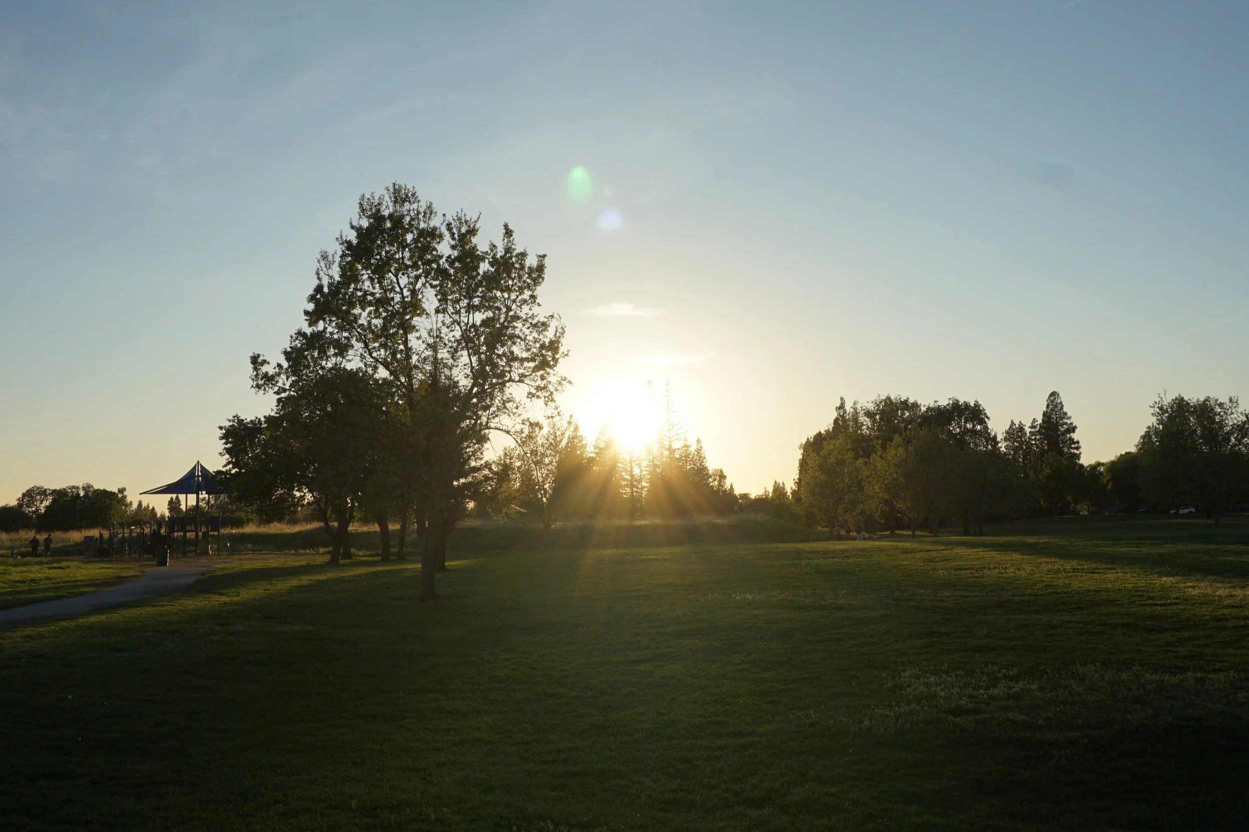 5 Ways to Enjoy Summer Near Rollingwood