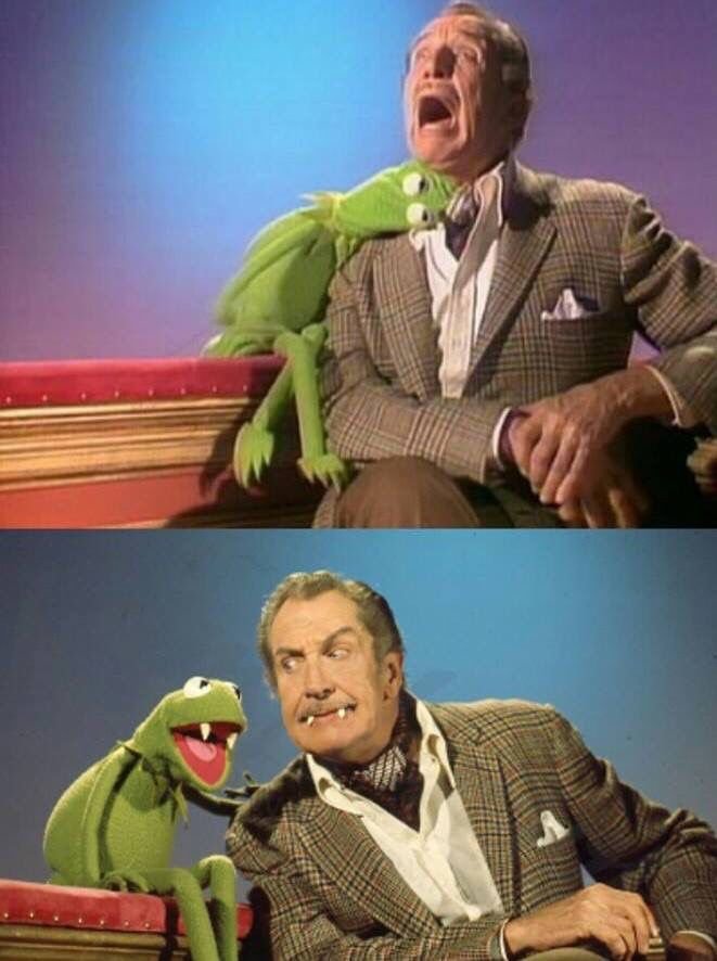 Vincent-Kermit.jpg