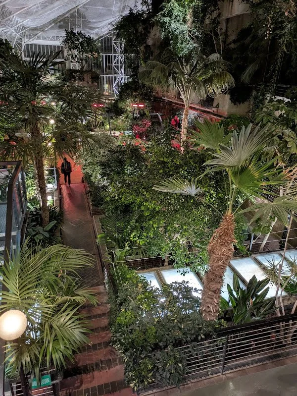 A piece of peaceful mind - Feeling ‘mindful’ at an urban sanctuary