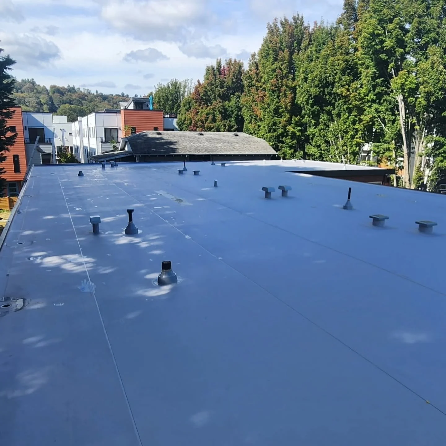 Versico TPO roof done in Seattle 
#waweathershield 
#seattlewa 
##tporoofing