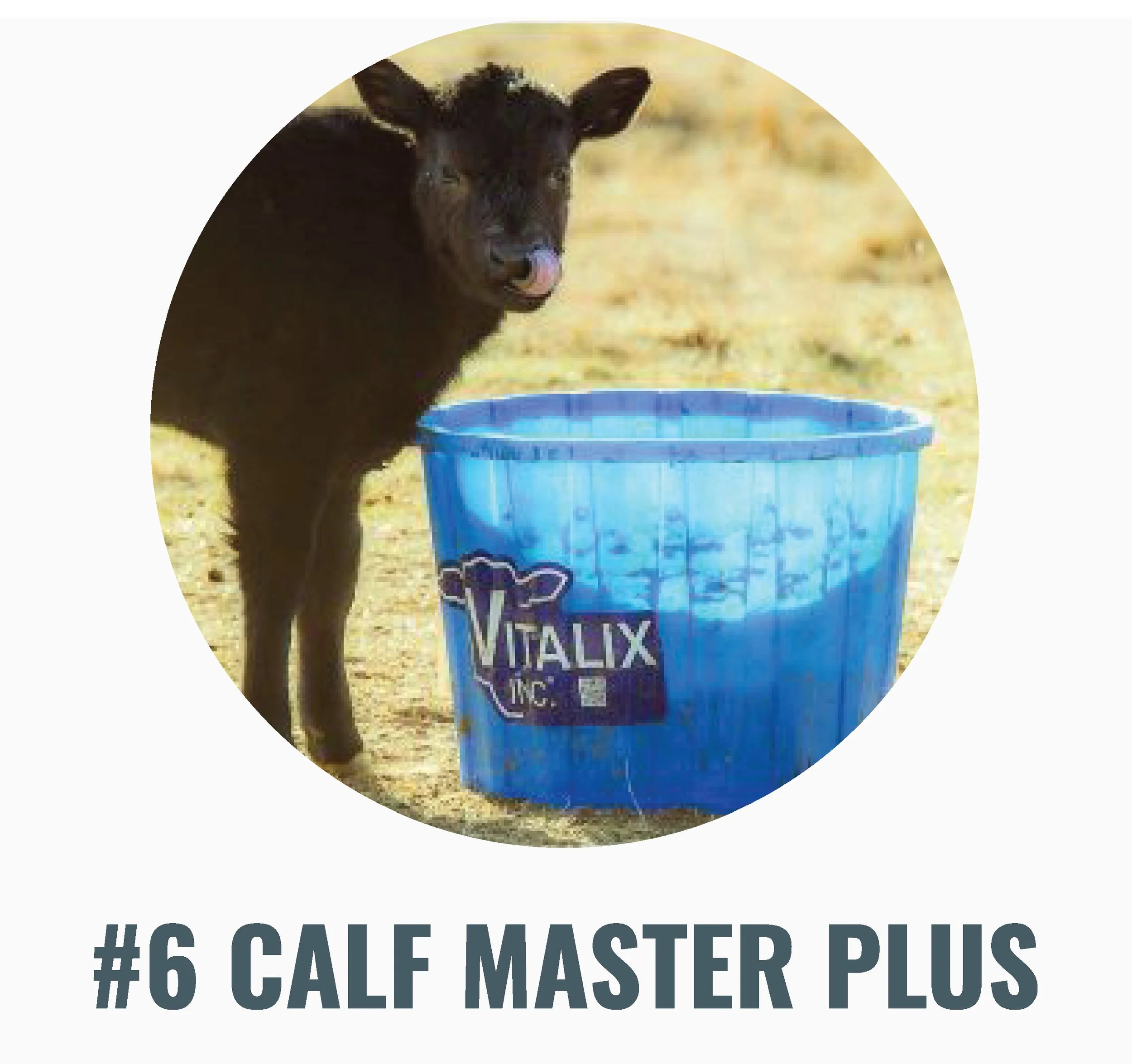 Vitalix #6 Calf Master Plus