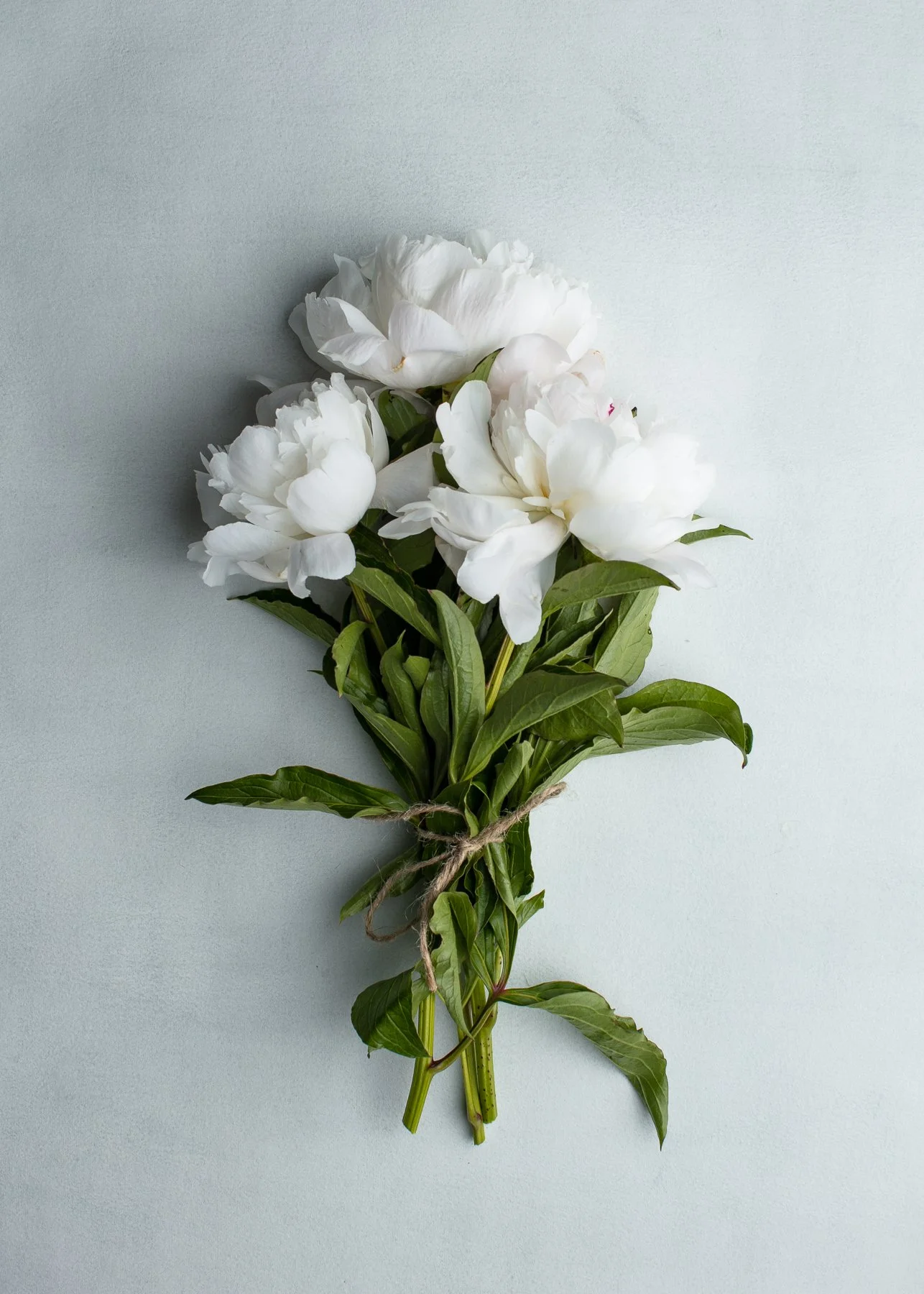 small business squarespace site design