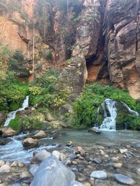 image5.jpeg