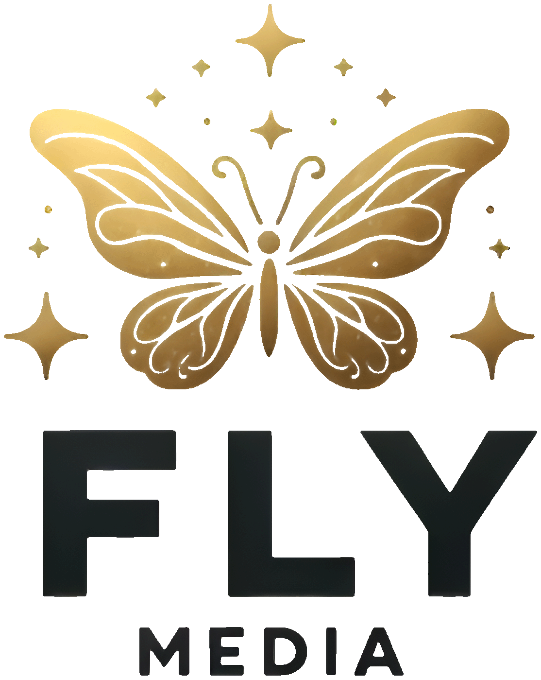 Fly Media