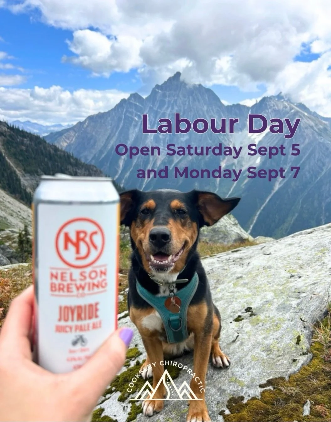 Not much can beat lunch on top of a mountain with your pups and a @nelsonbrewingcompany beer. 

How are you all spending your Labour Day long weekend before school starts? ⛰️

I&rsquo;m in the office Saturday Sept 5 and Monday Sept 7 if you need me b