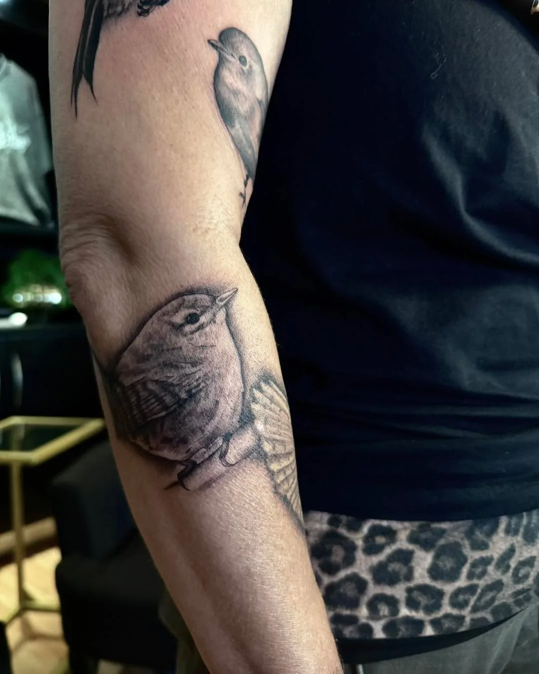 added some more birdies to this sleeve! funfact Kerri here was the first person to trust me with realism, i appreciate her coming back and working on this sleeve with me! 

done at vintagescarecrow
books open 📖

#realismart #realismtattoo #greywasht