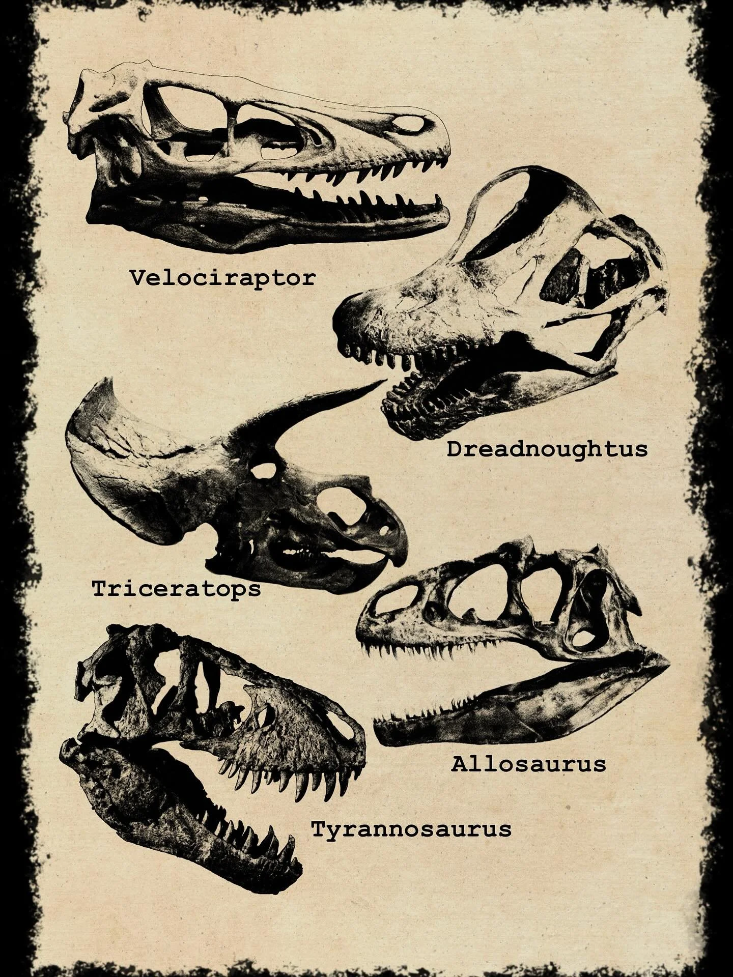 Hi all, I have some new (65+ million years ago) flash for everyone. 

These are to be done with stipple realism and to be at least 10cm big. 

They will start at $300 each and the price will vary depending on the size and how long ago I posted this.
