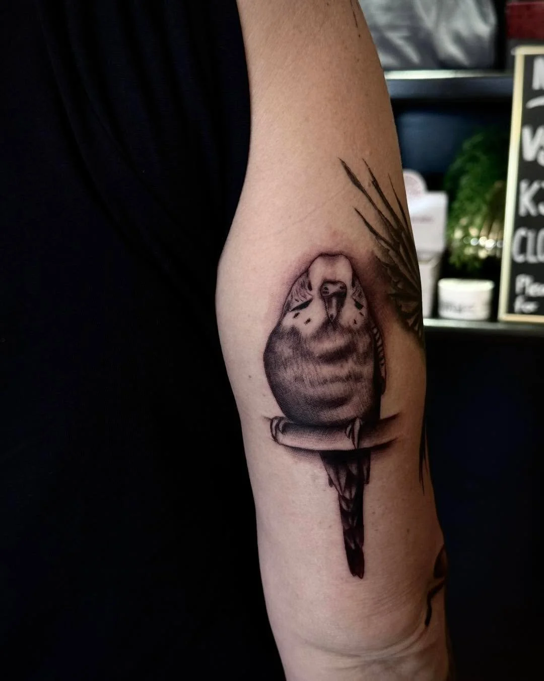 some more realism pieces for Kerri! this sleeve has been such a project of love for me and I would love to do more pieces like it! 

#realismart #realismtattoo #greywashtattoo #realism #greywash #realismapprentice #tattoos #tattooapprentice #adelaide
