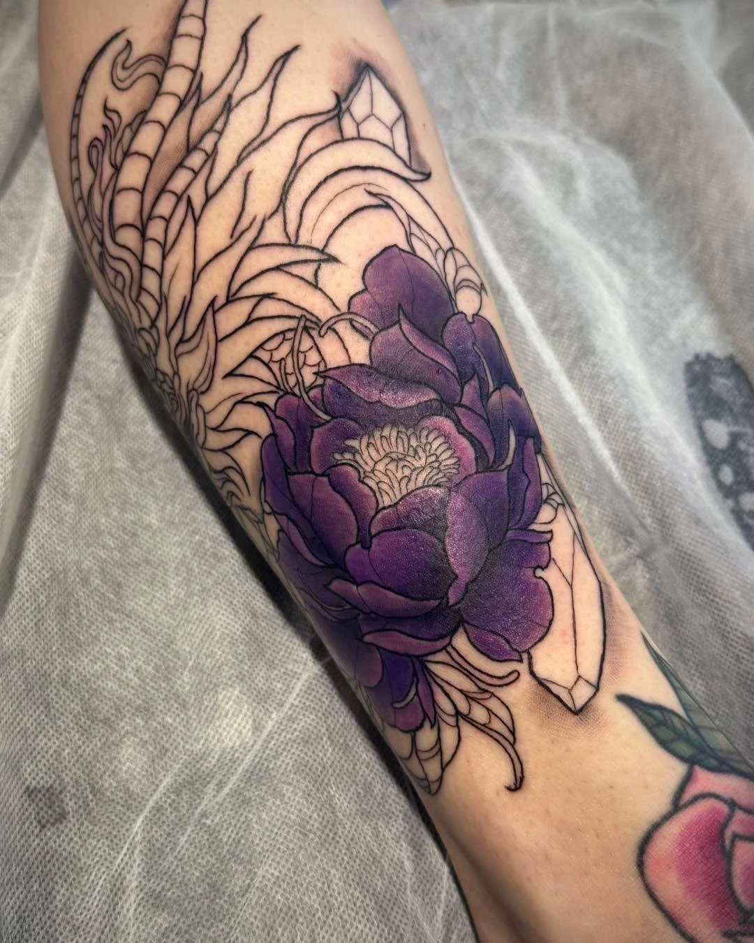 the start of a very colourful piece ! thank you for the trust lovely and the creative freedom! cannot wait to see this all finished! 

#colour #colourtattoo #dragontattoo 
#tattoos #tattooapprentice #adelaideapprentice #tattooart #tattooideas #newtat