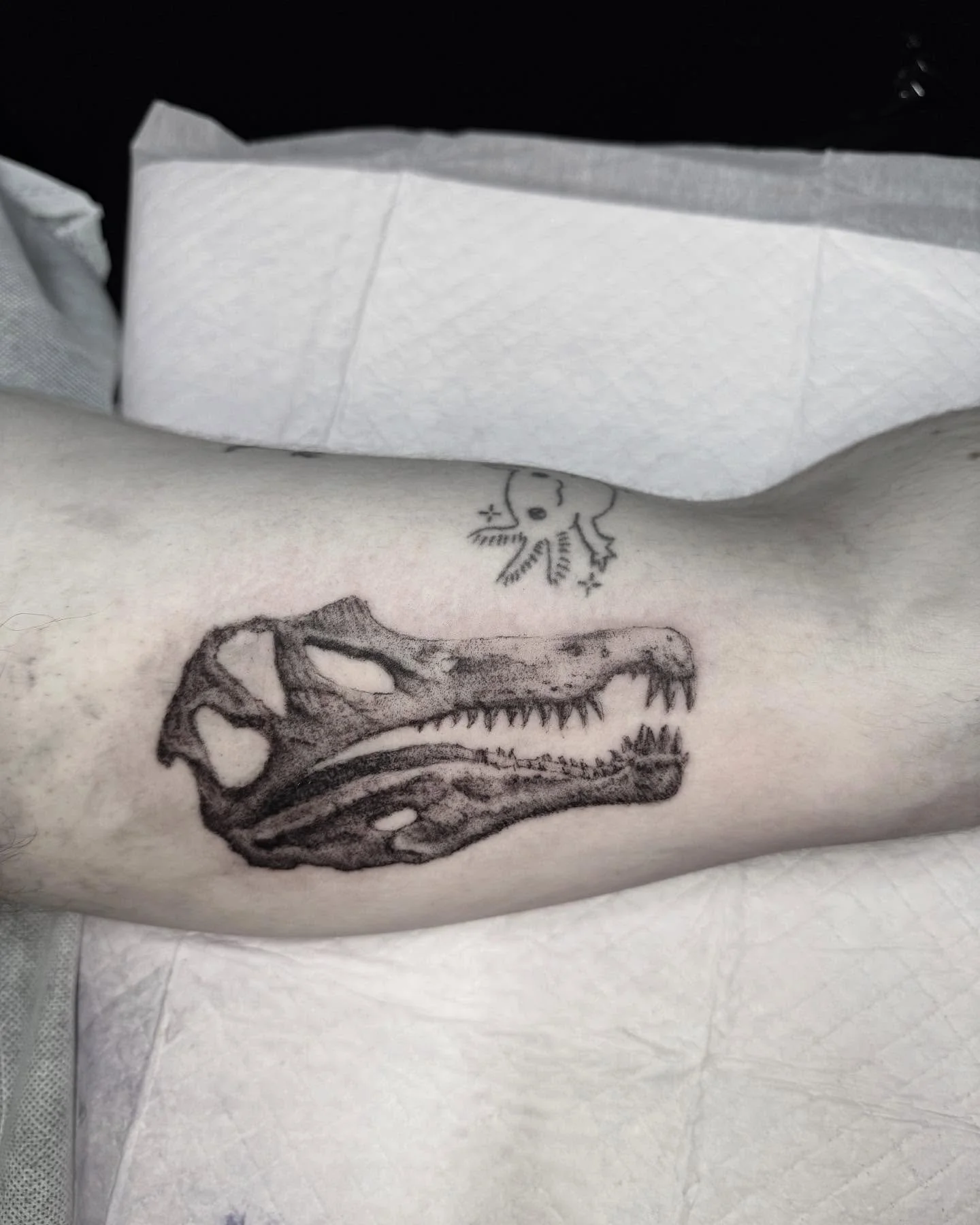 Thankyou @sixleggedsecrets for getting this piece inspired by my flash. A very cool Spinosaurus! 

#tattoos #dinosaur #tattooapprentice #adelaide #adelaidetattoos 

@rghtstuff
@vintagescarecrow
